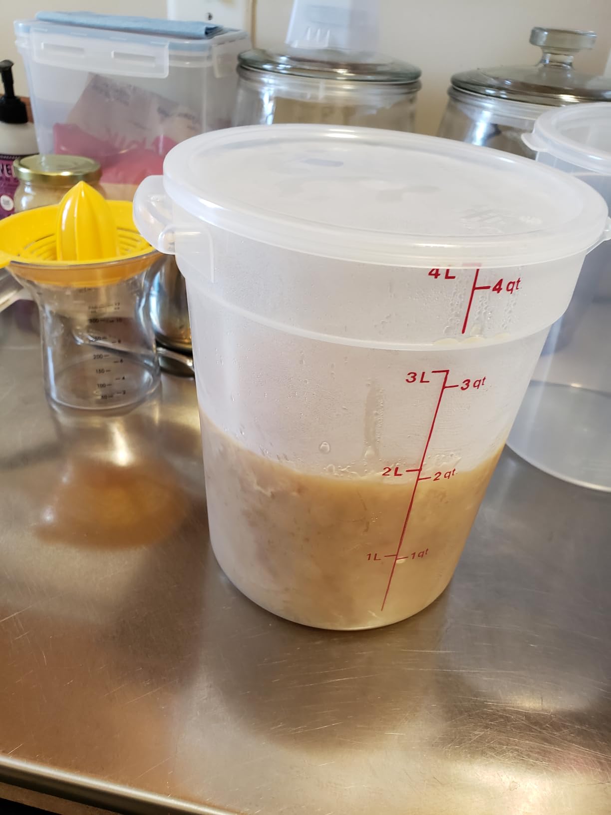 Cambro Food Storage Containers with Lids (BPA-Free) - 4 Quart - Food Grade Buckets with Lids (2 Pack) - For Dough Proofing and Brining (Translucent) customer photo 2