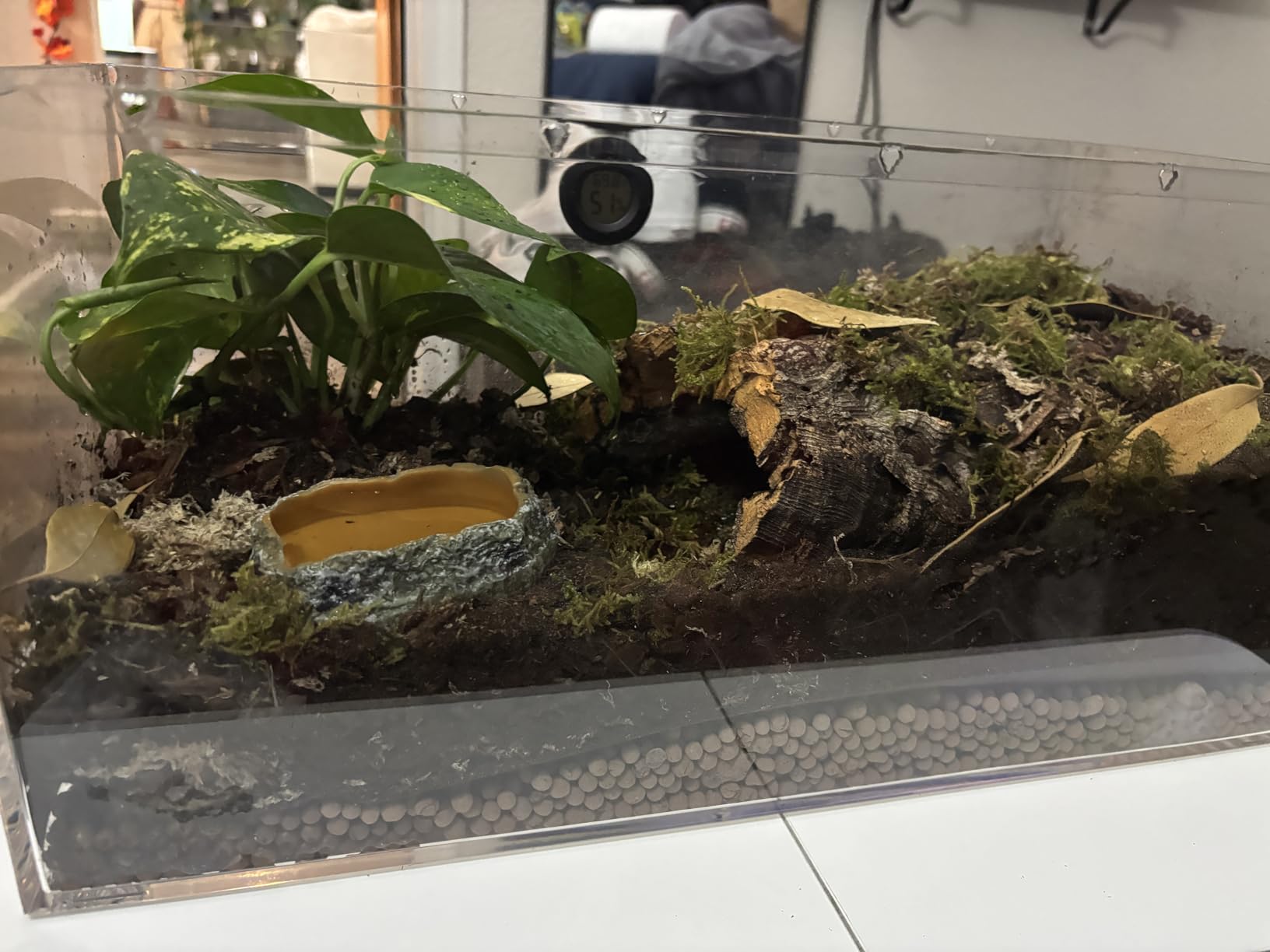 Reptile PC Terrarium Set, Reptile Tank 20