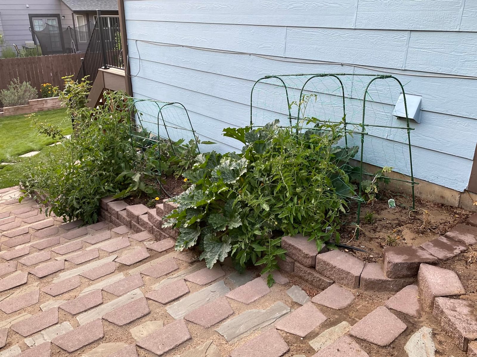 FOLLOOK Cucumber Trellis for Raised Garden Bed, 48x48inch, Green customer photo 1