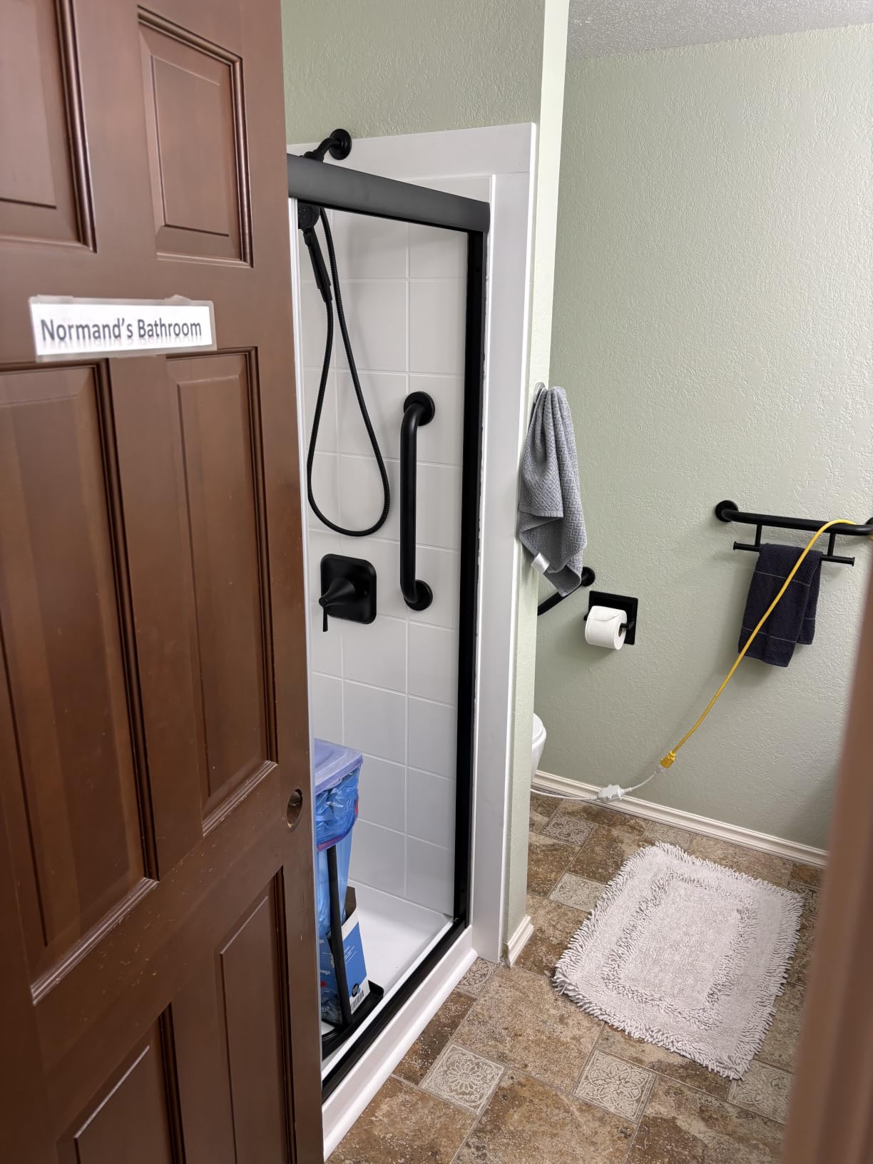 Royal Guard Double Sliding Shower Door,56-60