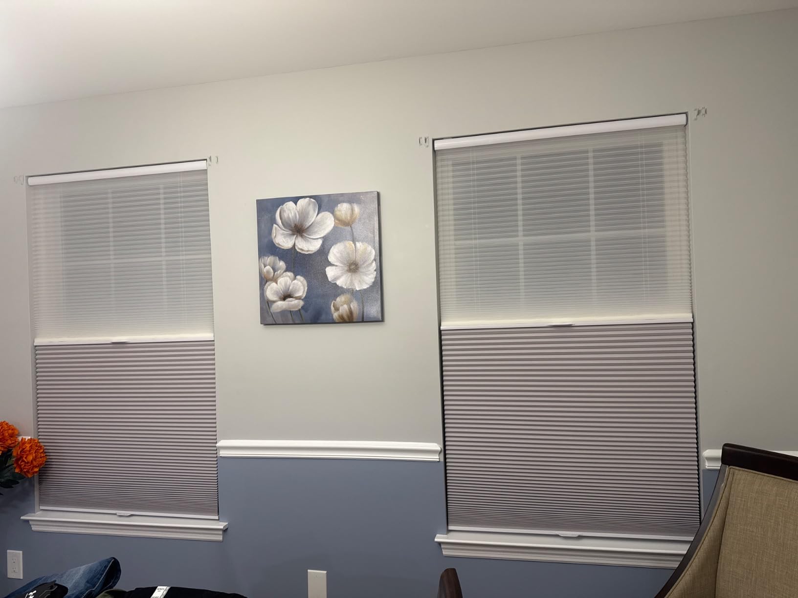 2-in-1 Day Night Cellular Shades Cordless, Top Down Bottom Up Double Honeycomb Blinds, Blackout and Light Filtering Pull Down Pleated Accordion Shades for Indoor Windows (Custom Size) customer photo 2