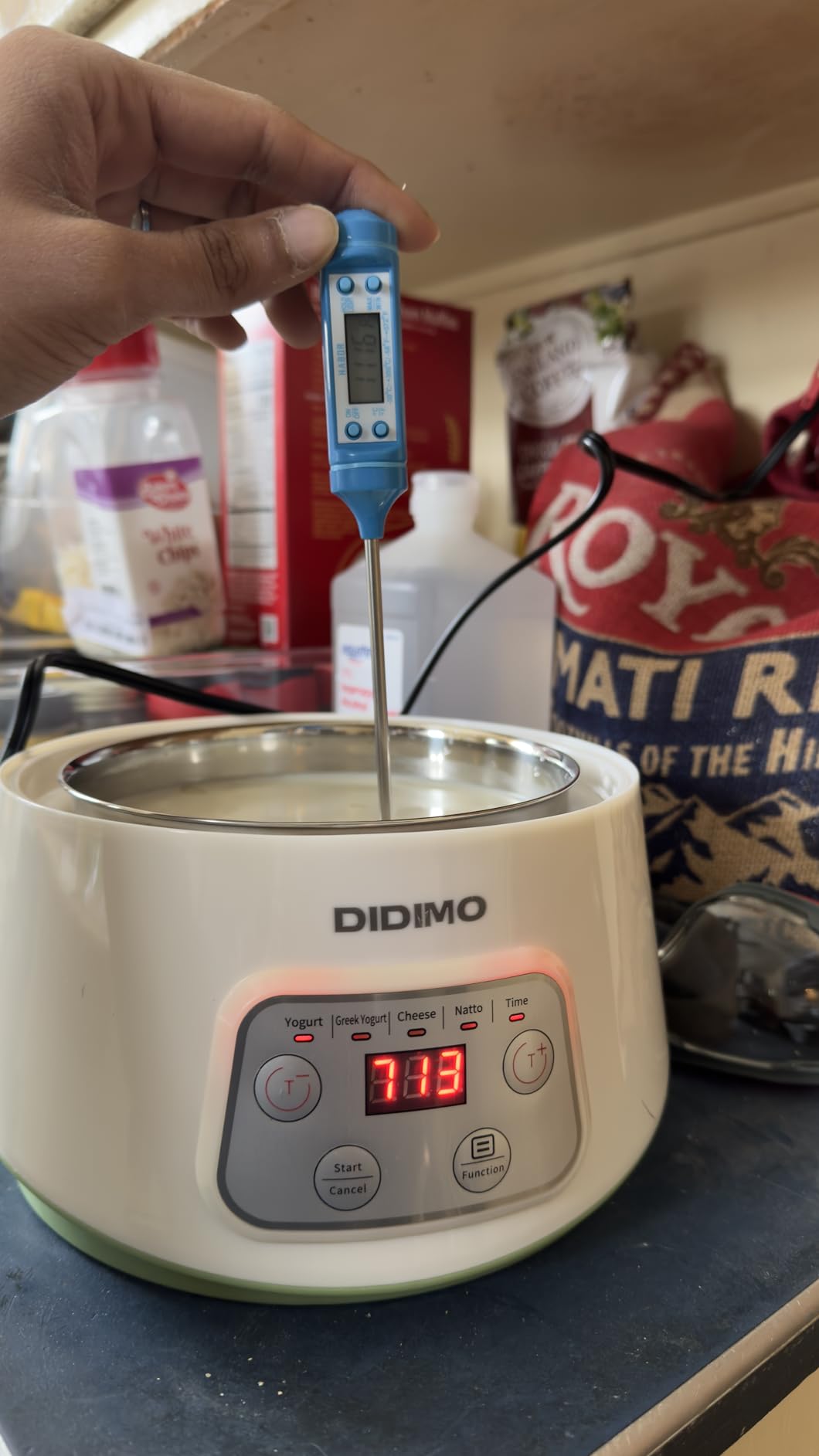 Yogurt Maker, Greek Yogurt Maker with Timer Control and Strainer, Yogurt Maker Machine with Stainless Steel Liner, Electric Portable Yogurt Maker for Yogurt, Greek Yogurt, Cheese, Natto (White) customer photo 2