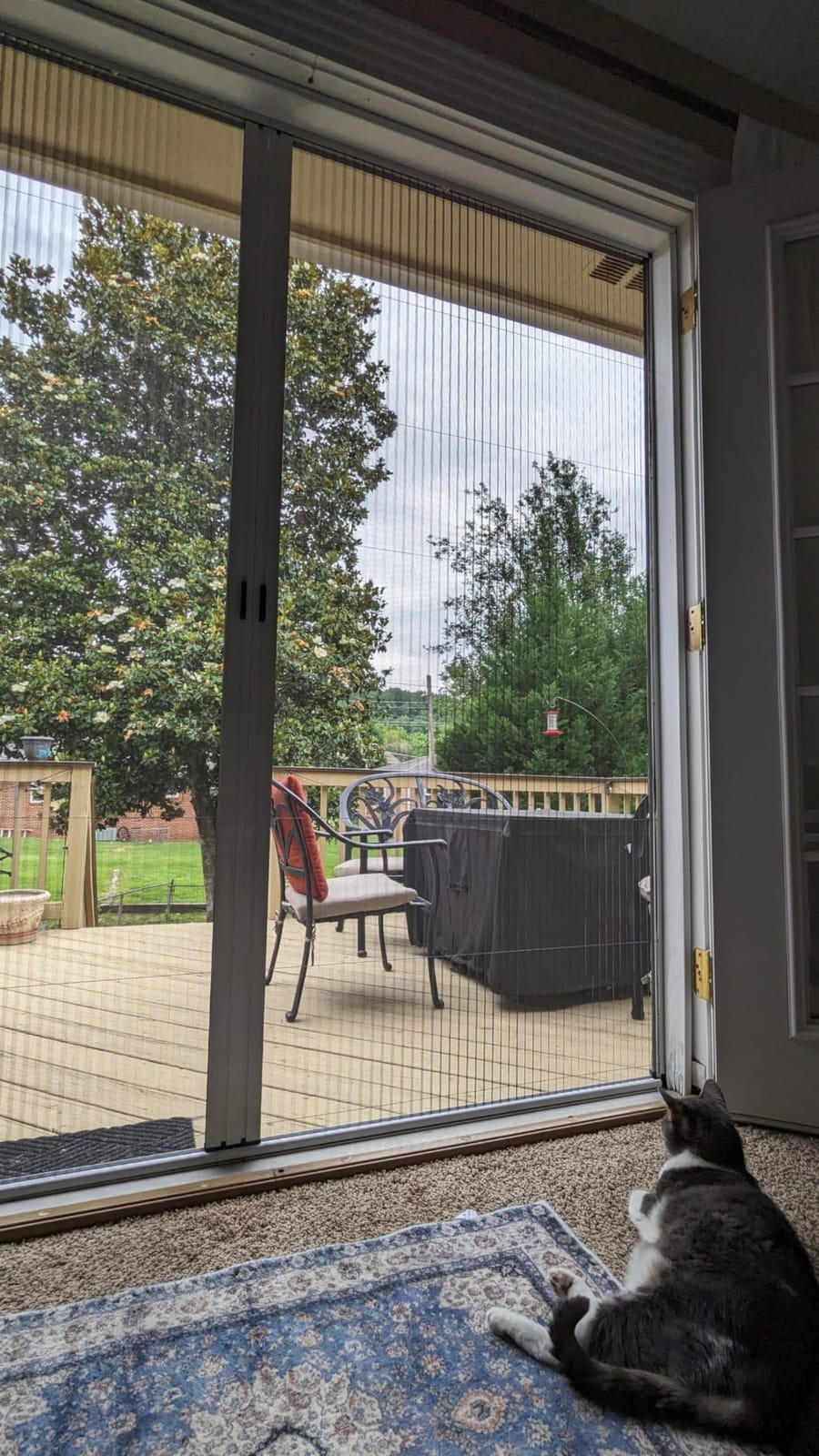 No-Drilling Retractable Sliding Screen Door, Seamless Aluminum Frame Low-Profile Tracks for Closer to Nature, Keeping Insects Out, Pet and Child-Friendly, Customizable Sizes for Your Opening customer photo 1
