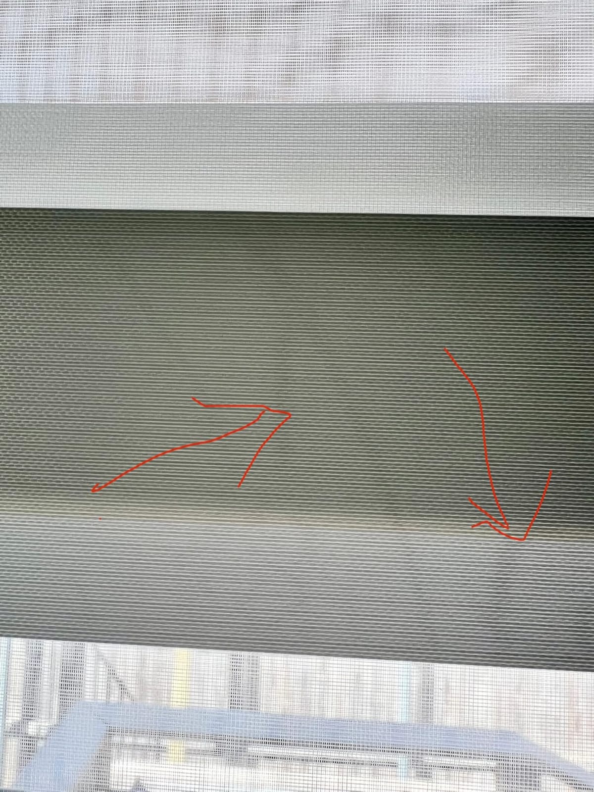 ChrisDowa Cordless Zebra Blinds for Windows, Light Filtering Roller Shades customer photo 1