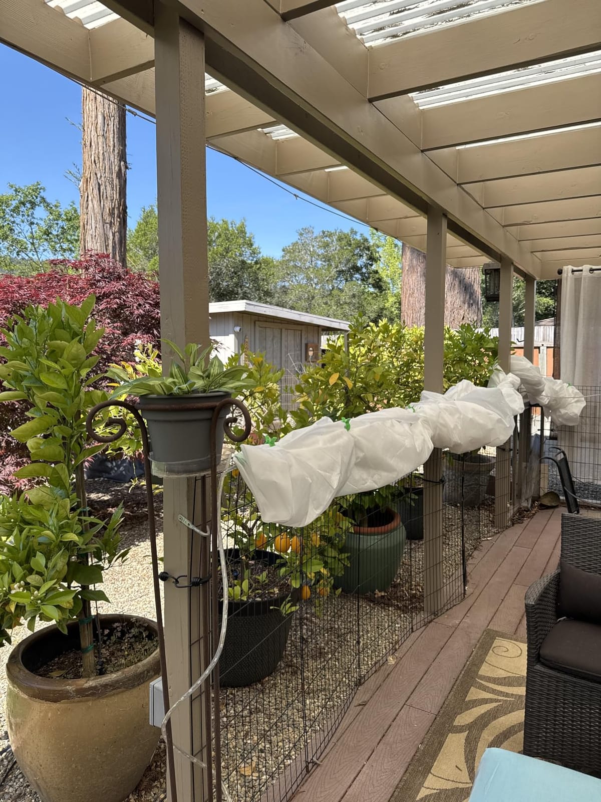 Gardzen 1.5 oz Plant Covers Freeze Protection customer photo 1