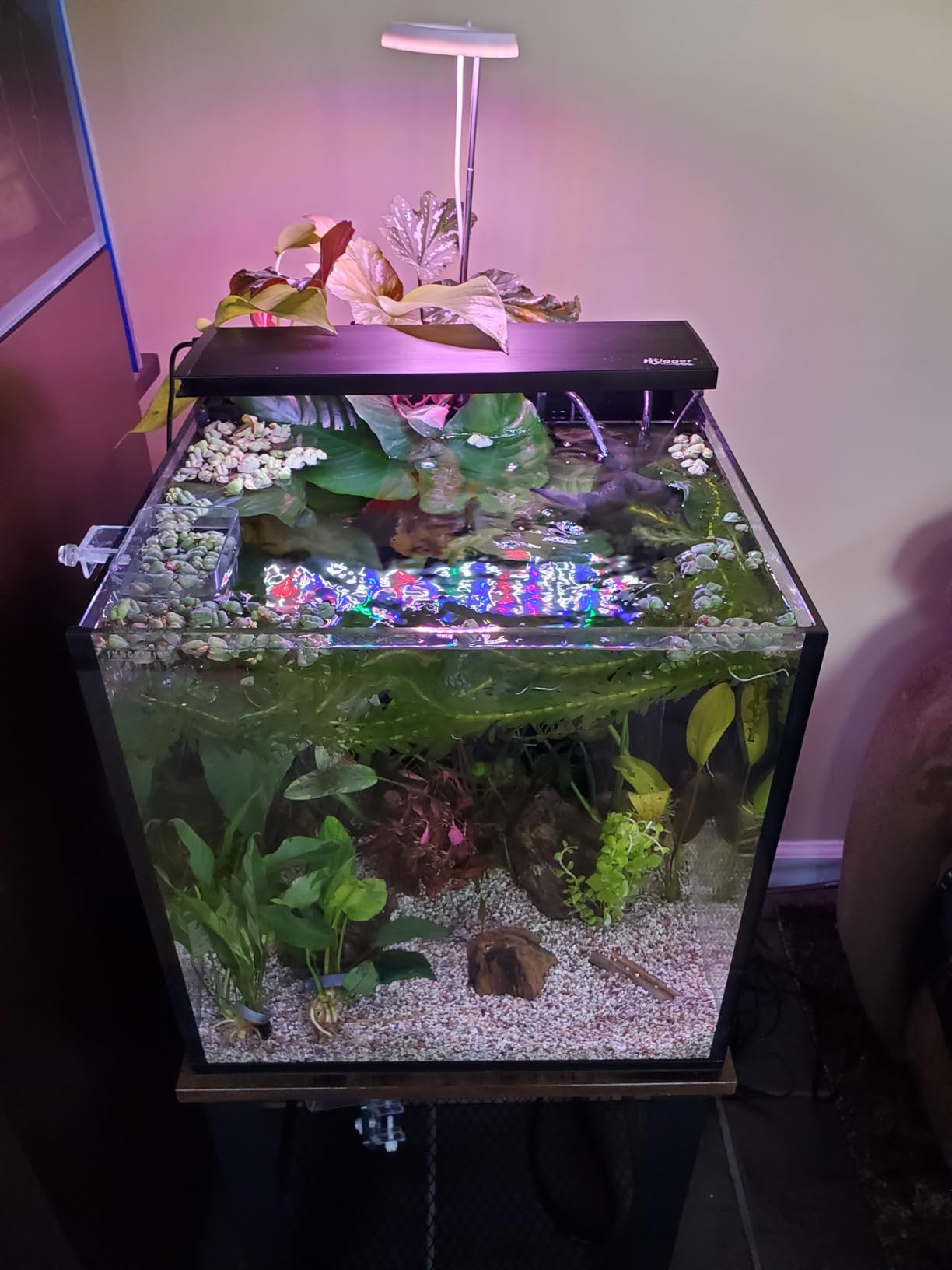 Innovative Marine Starter Kit Aquariums (25 Gallon Lagoon) customer photo 1