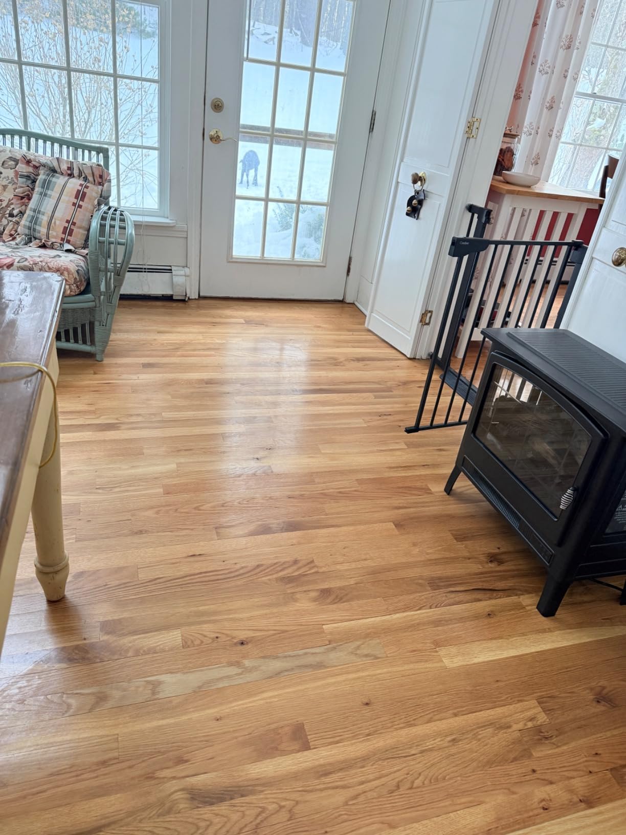 Shark Steam Pickup 3-in-1 Steam Mop for Sealed Hard Floors, SD201 | Picks Up Debris, Deep Scrubs & Steam Sanitizes All At Once, Lightweight Steam Cleaner customer photo 2