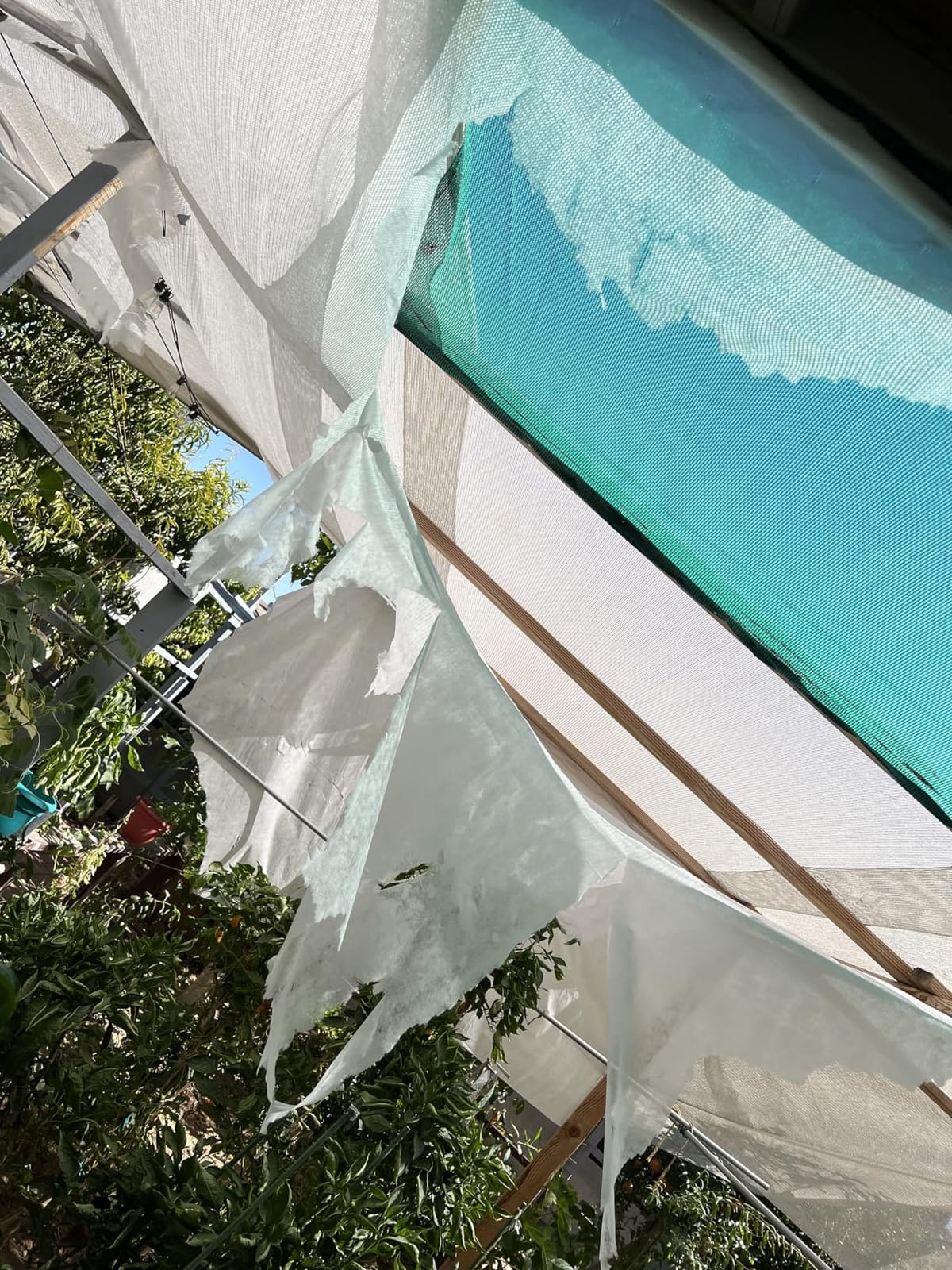 MAQIHAN Plant Covers Freeze Protection - Frost Cloth & Floating Row Cover customer photo 2