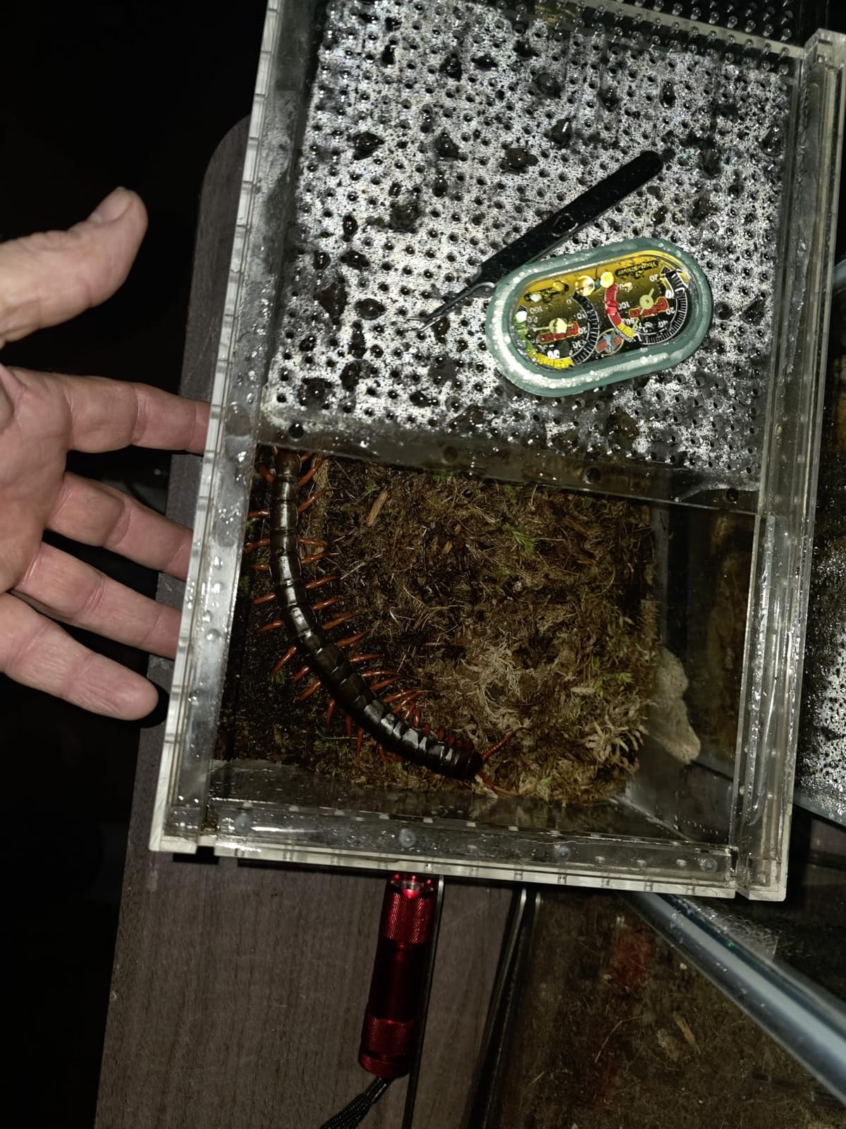 Reptile PC Tank,Escape Proof Magnetic Lid Tarantula Enclosure Large customer photo 2