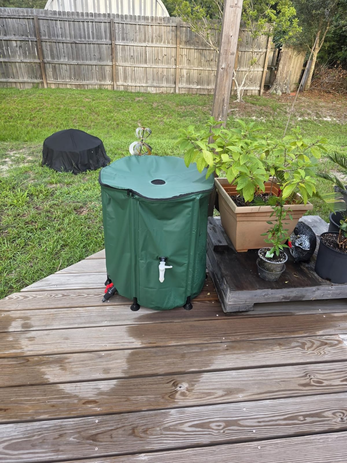 Collapsible Rain Barrel Water Storage Containers-53 Gallon Portable Rainwater Collect System Water Tank to Collect Rainwater from Gutter Downspout Water Catcher with Spigots,Filter＆Overflow Kits customer photo 2