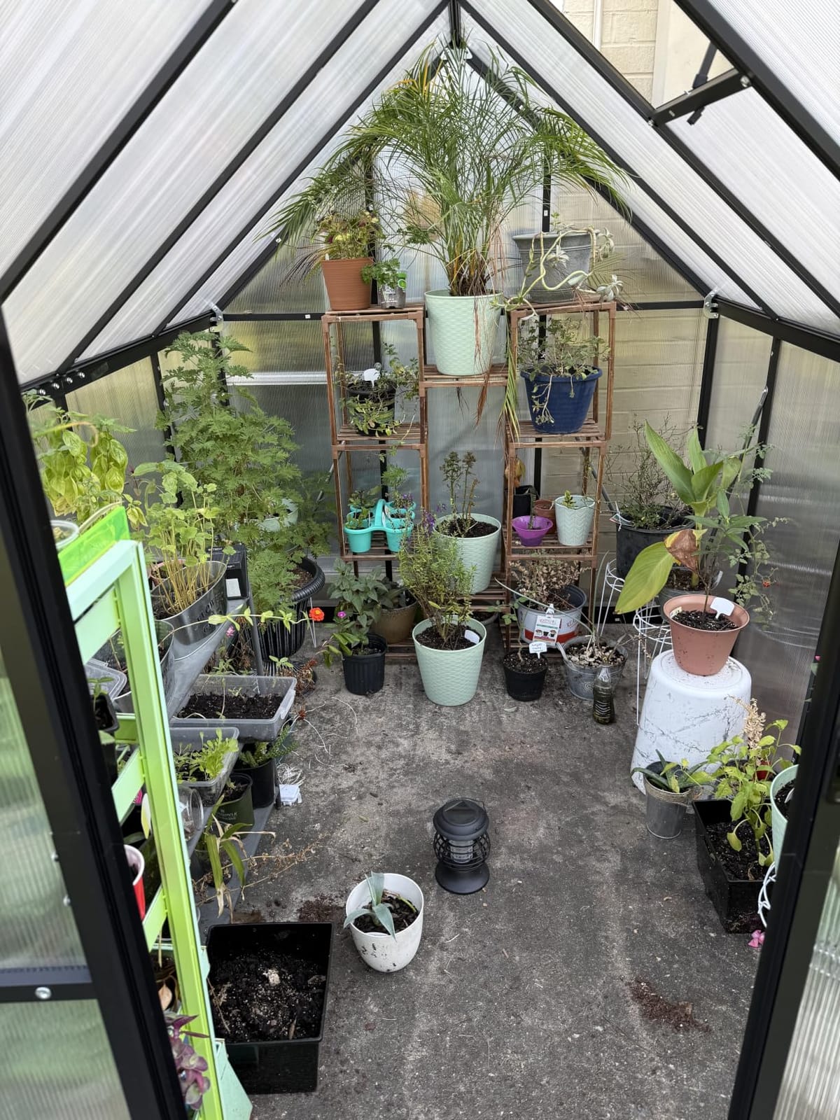 AirWire 8×12 FT Walk-in Polycarbonate Greenhouse for Outdoor customer photo 1