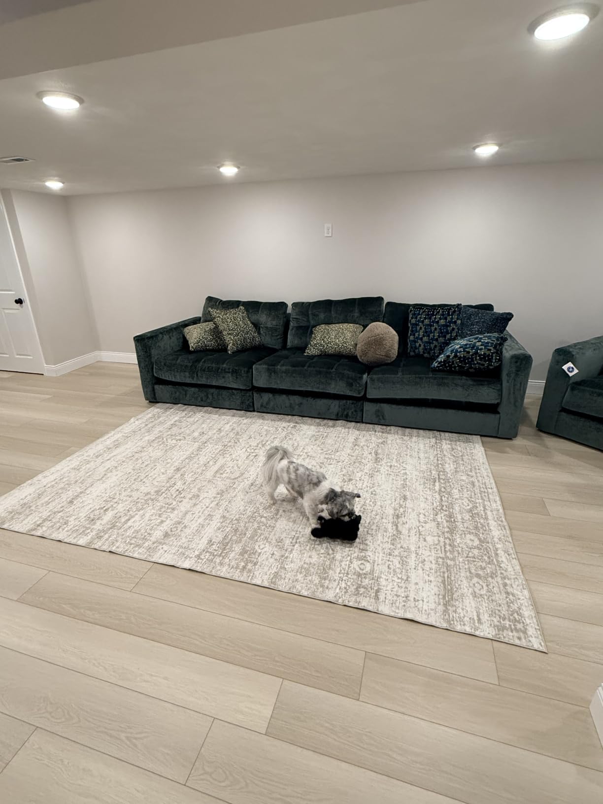 Washable Rugs 8x10 Area Rugs for Living Room,Bedroom,Dining Room Carpet | Ultra Soft Faux Wool,Kids & Pet Friendly,Machine Washable,Non-Slip & Non-Shedding,Large Vintage Low Pile Rug for Home Office customer photo 1
