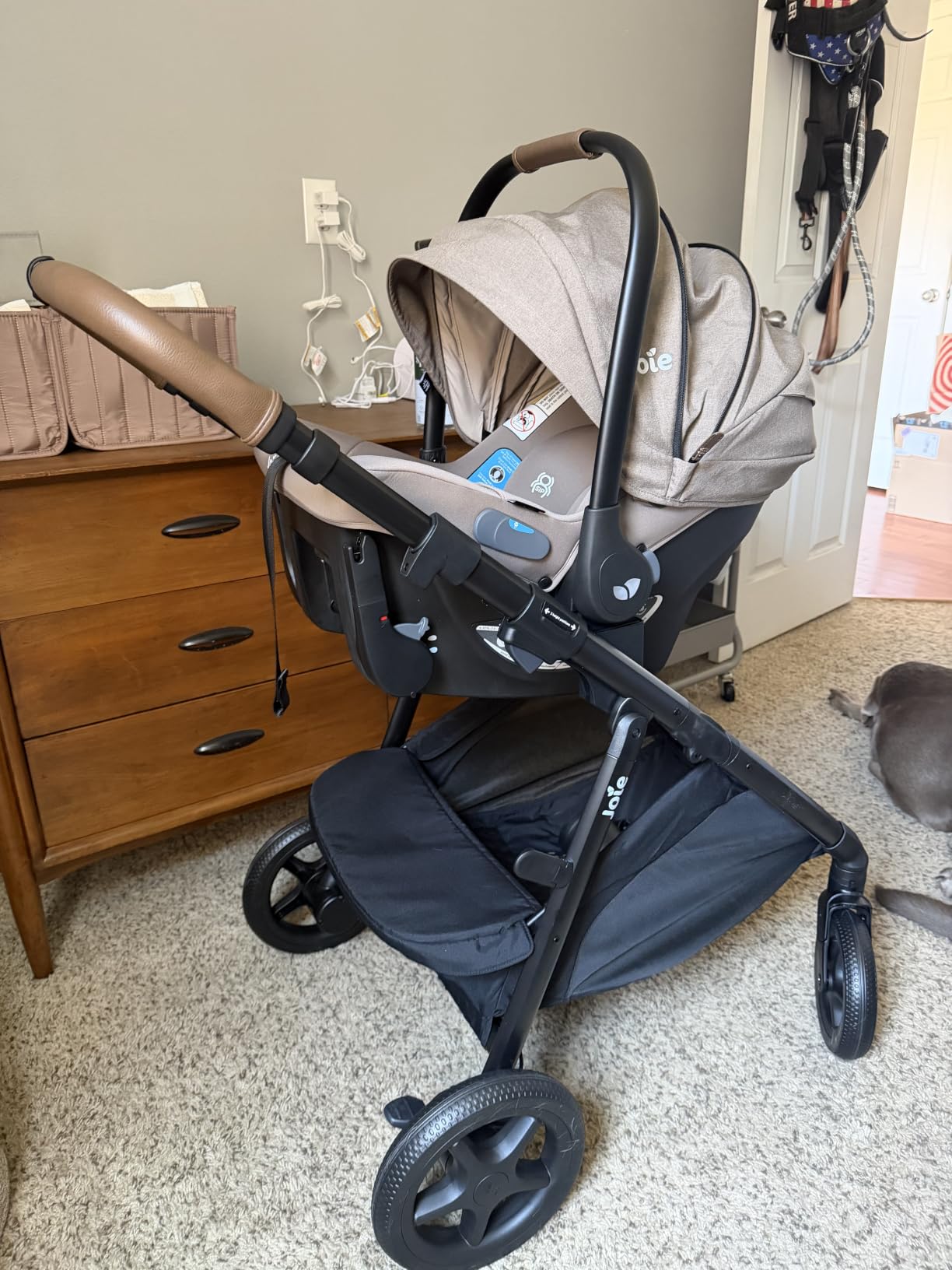 Joie Ginger 4-in-1 Stroller & Mint Latch Car Seat Travel System customer photo 2