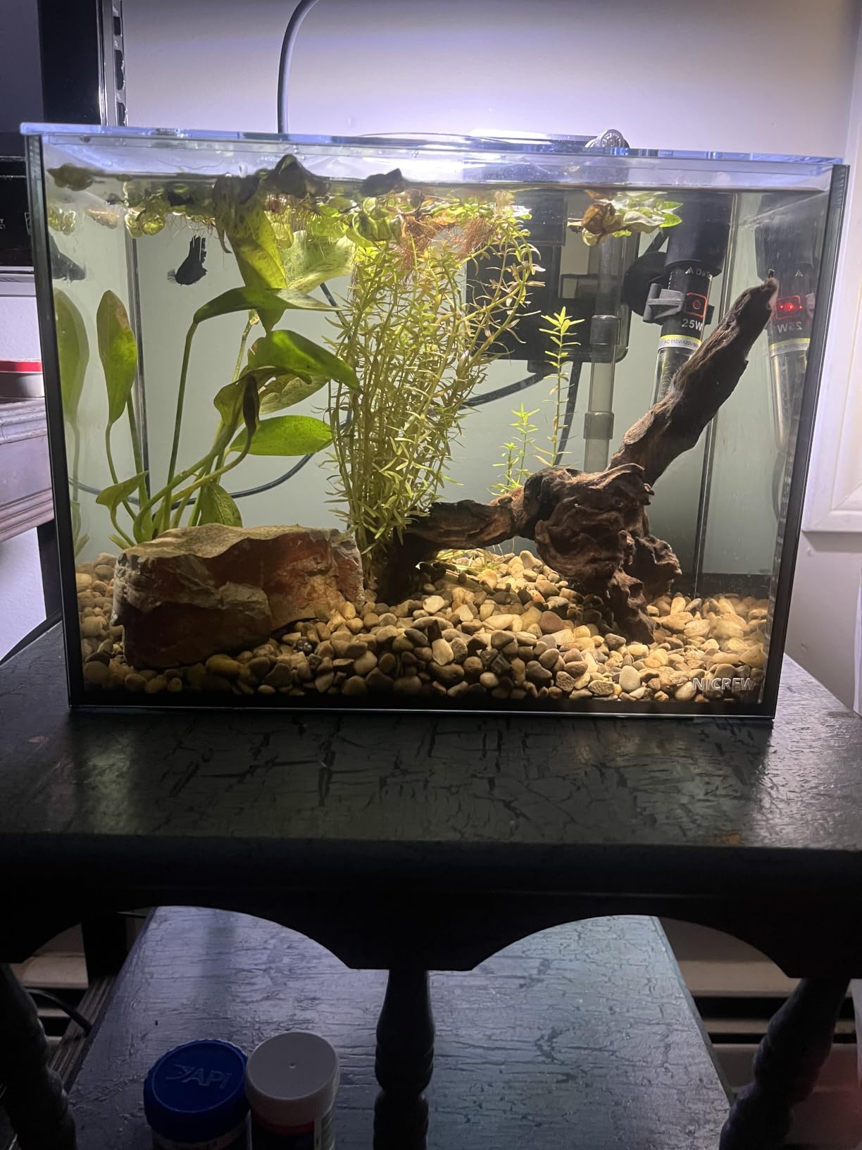 NICREW 2.5 Gallon Nano Nature Aquarium Kit, Ultra-Clear Rimless Desktop Fish Tank with Light and Filter, Perfect for Small Fish, Shrimp, or Betta, Basic Version, Black customer photo 2