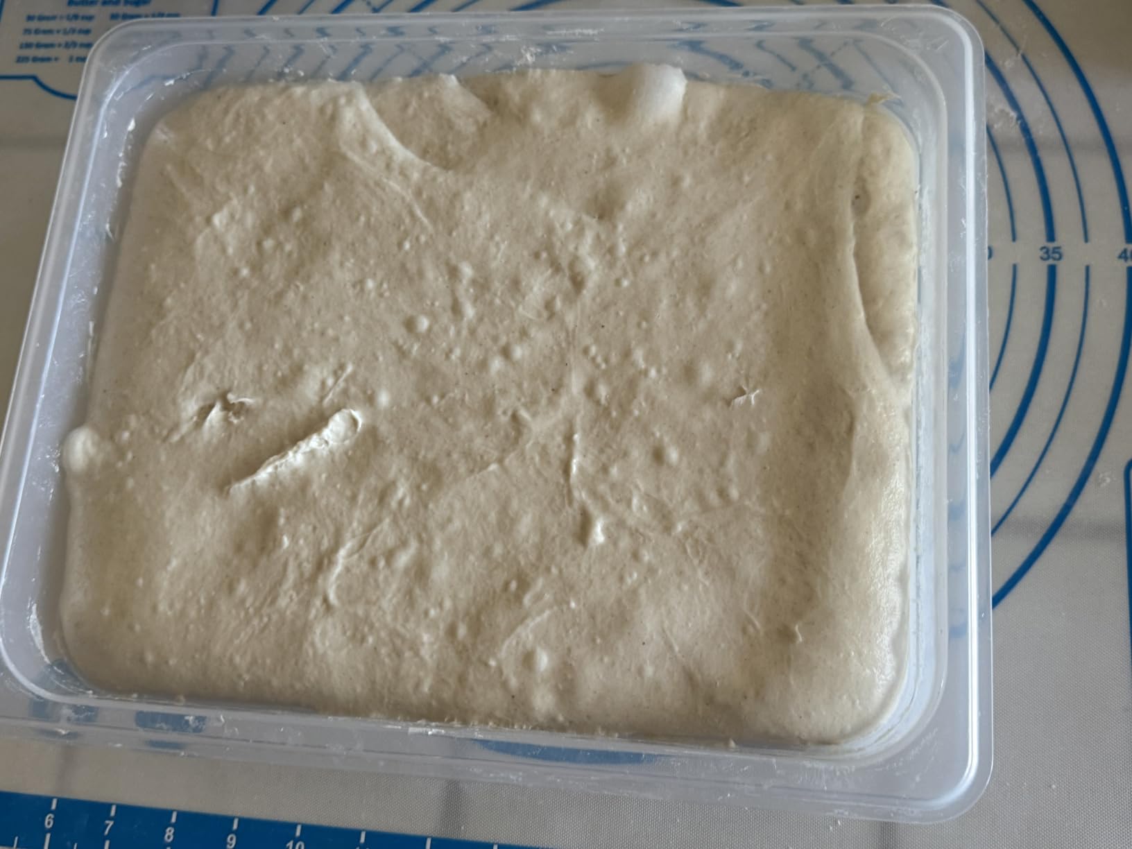 Brod & Taylor Proofing Container With 6L Capacity, Fits Up to 3000 Grams of Dough – Dough Rising Box for Bread, Sourdough & Pizza (Dishwasher Safe, BPA-Free) customer photo 2