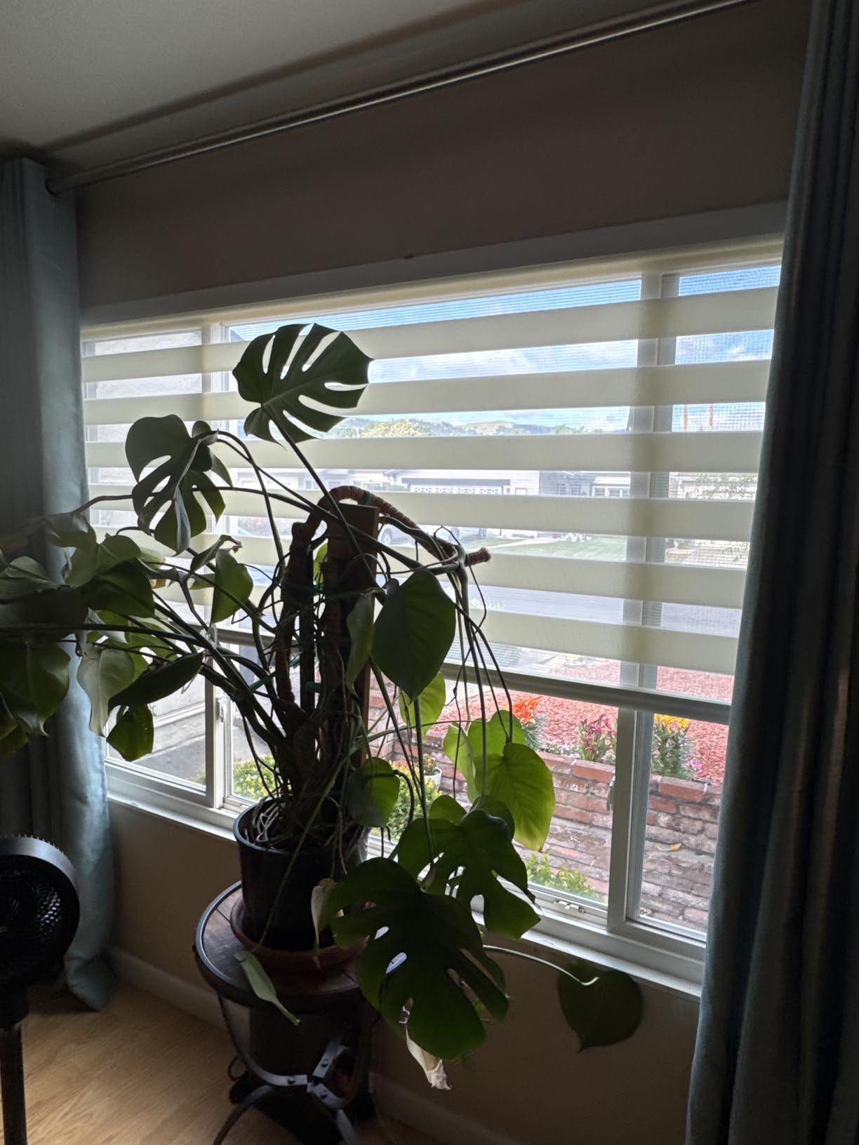 Foiresoft Zebra Blinds Custom Size Day Night Dual Layer [Basic,White] customer photo 2