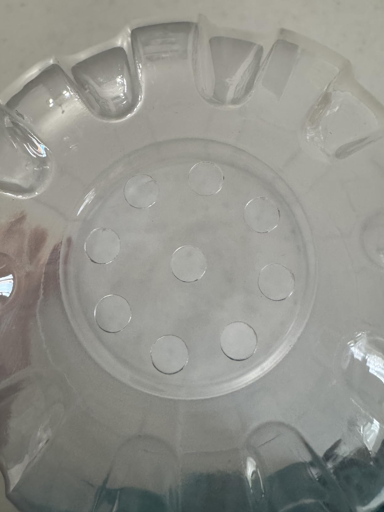 20 Pcs Upgraded Transparent Garden Cloches for Plants, Reusable Plant Covers, Plant Protectors from Animals for Garden Plants, Plant Covers Freeze Protection, Compatible with Slug Collar customer photo 2