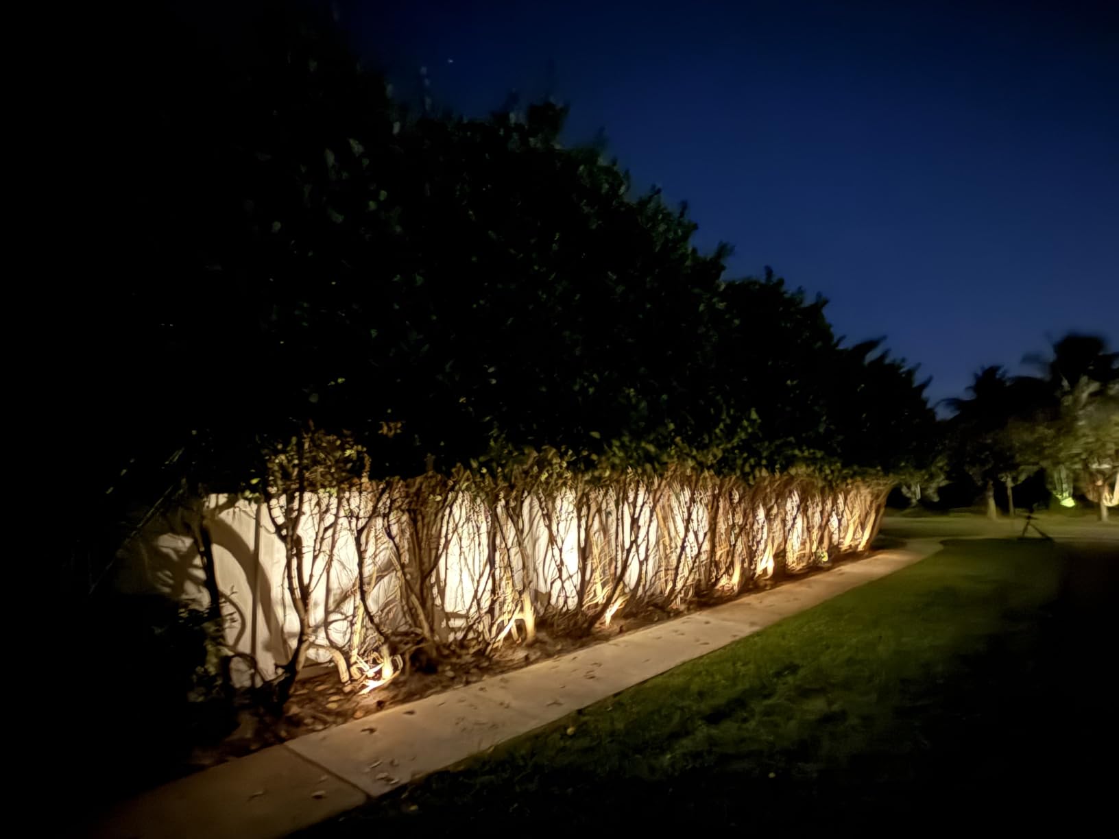SUNTHIN 6 Pack Outdoor Landscape Lights with Transformer, LED Spotlights | Low Voltage Yard Lighting, Extendable Landscape Ground Lights, IP65 Waterproof Outdoor Spot Lights for Garden, Trees & House customer photo 1