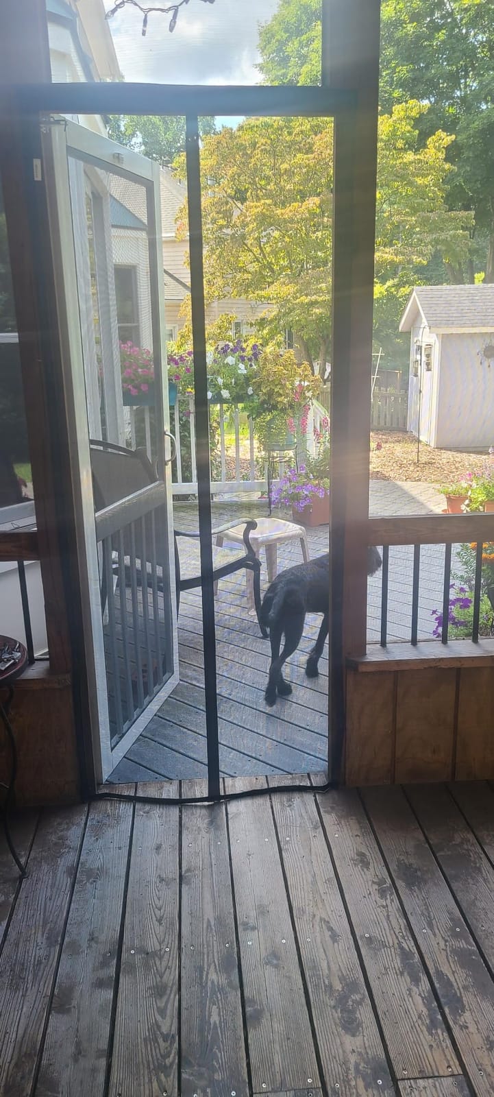 Magnetic Fiberglass Screen Door Mesh -Full Strip Magnets for Door to 37x 82 customer photo 1
