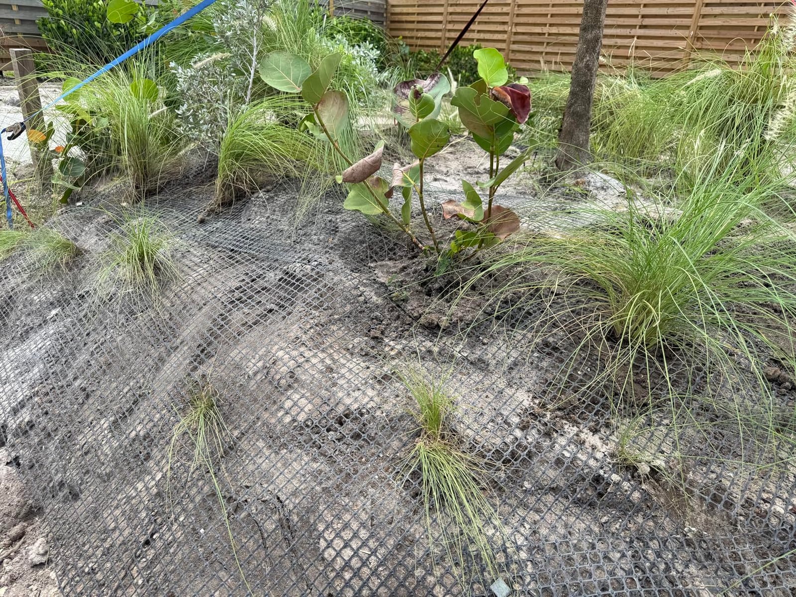 Bi-Directional Geogrid for Retaining Wall 3ft x 164ft | Geogrid Used for Driveway, Retaining wall customer photo 2
