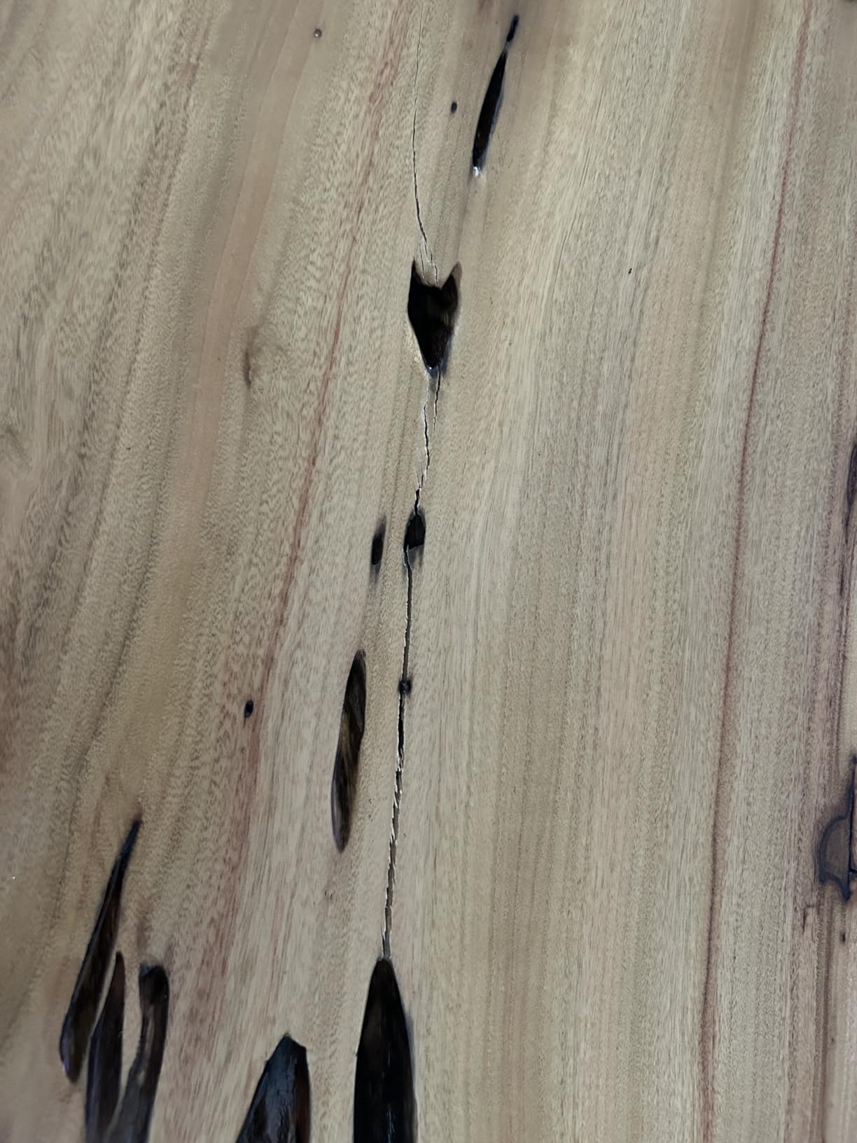 Rustic Coffee Table, Solid Camphor Wood Top, Live Edge, No Two Alike | Live edge coffee table, Natural camphor wood slab, Clear lacquer, Four legs, Pre-drilled holes, Shape and grain vary customer photo 2