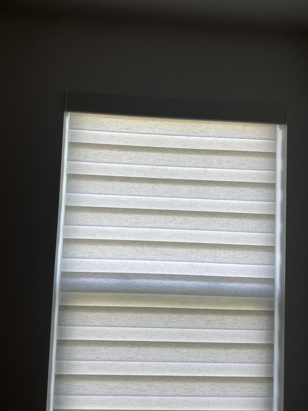 Persilux Linen Cordless Zebra Blinds for Windows(Custom Size,Cream) customer photo 1