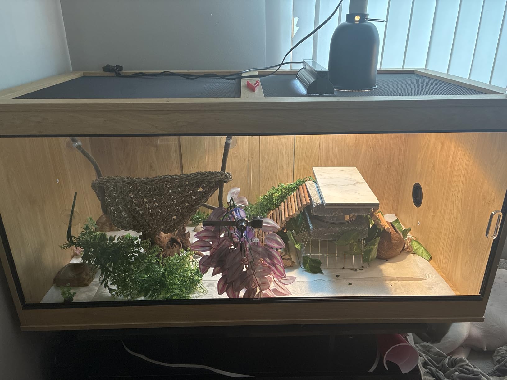 unipaws 110 Gallon Reptile Tank for Lizards, Bearded Dragon Enclosure Cage customer photo 1