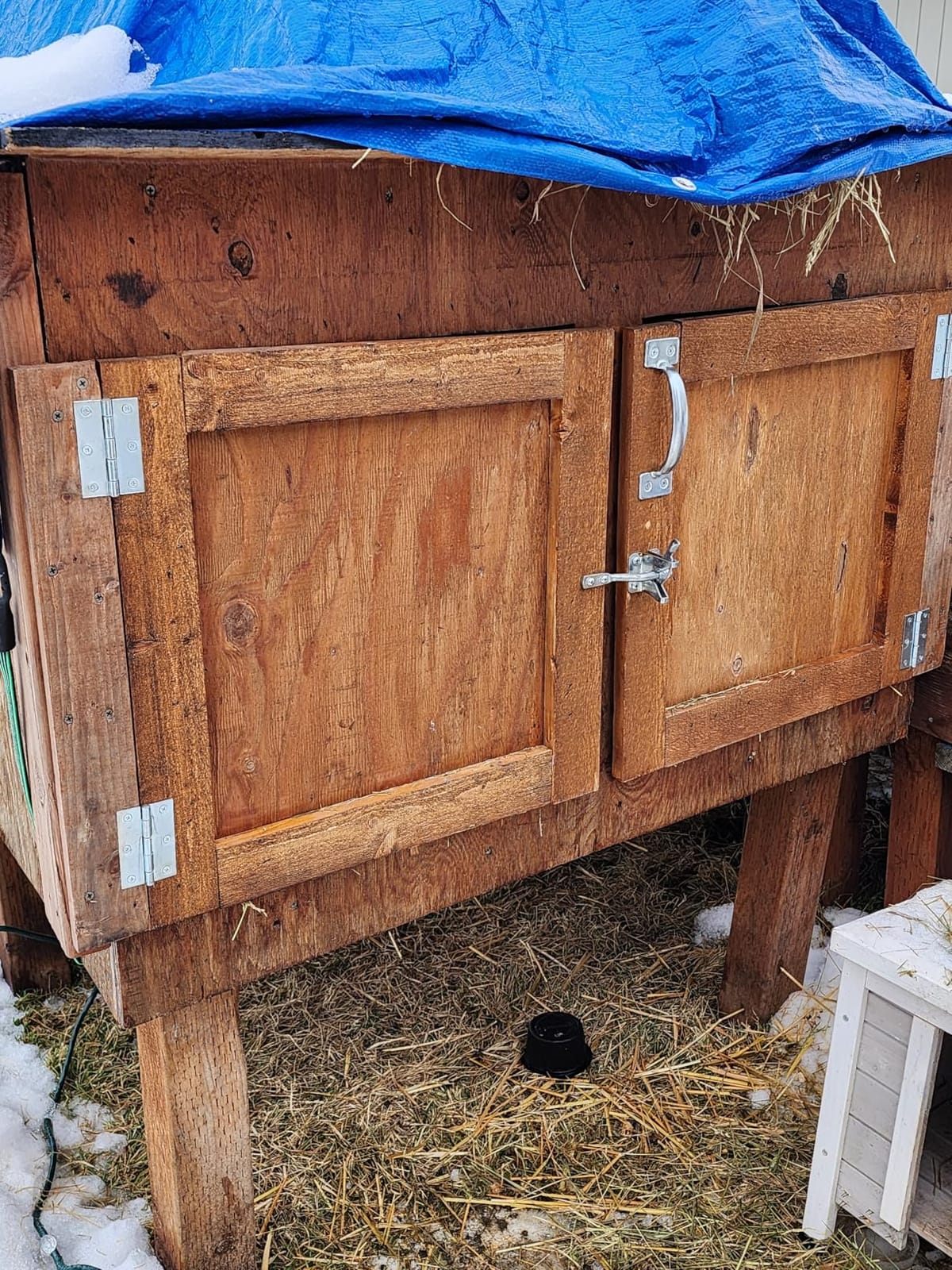 2026 Smart Heater for Chicken Coop, 200W Panel, UL Certified, Black customer photo 1