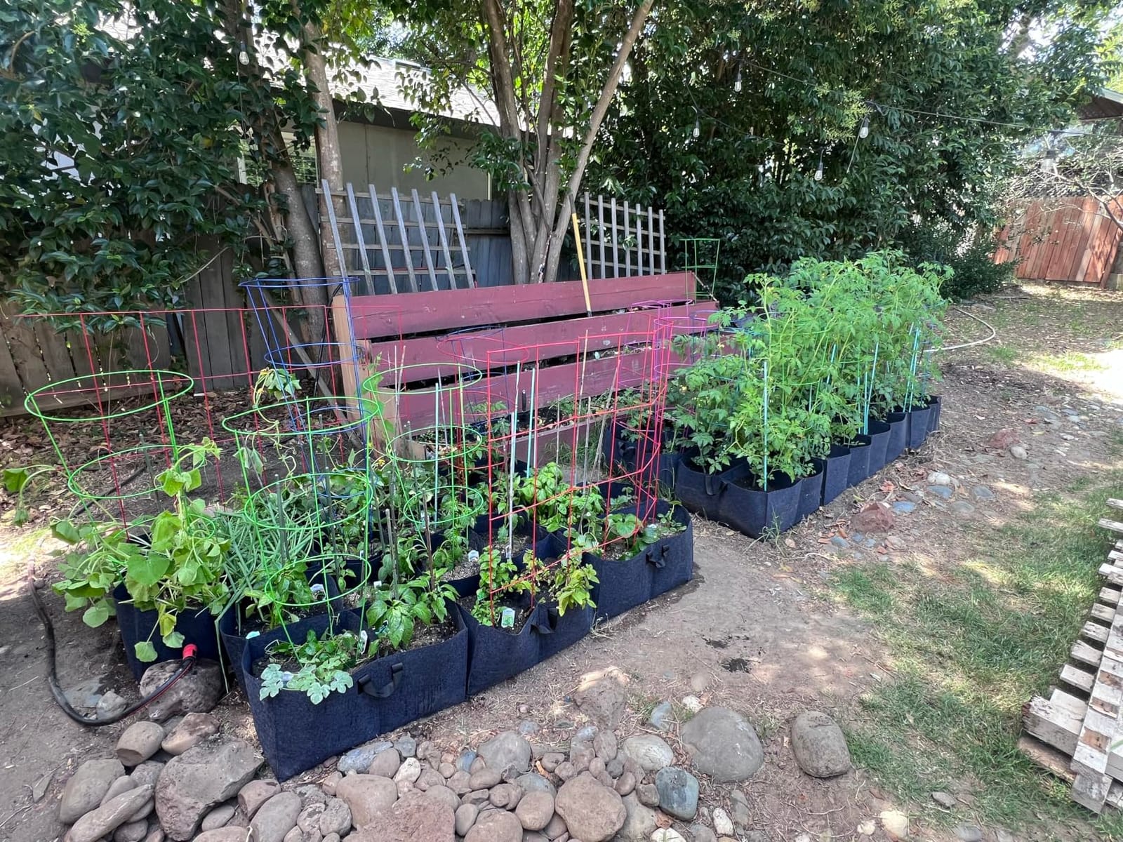 8 Grids Fabric Raised Garden Beds, 4x2x1ft Thickened 400G Square Fabric Grow Bags with Handles,Indoor Outdoor Fabric Plant Pots Planter for Vegetables, Herbs, Flowers customer photo 2