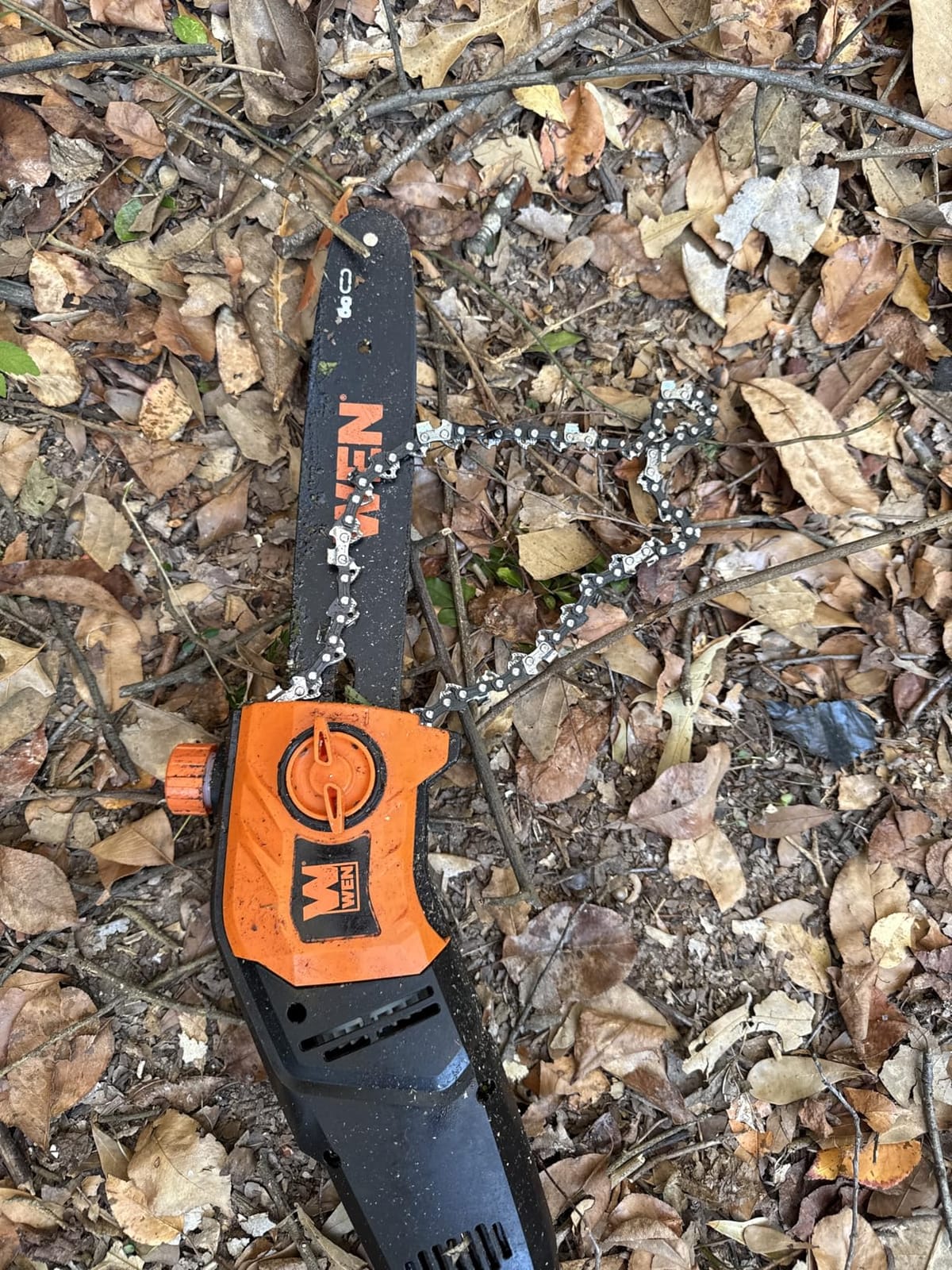 WEN Electric Pole Saw, Corded, 8-Amp, 10-Inch with 14-Foot Reach (CP0810) customer photo 1
