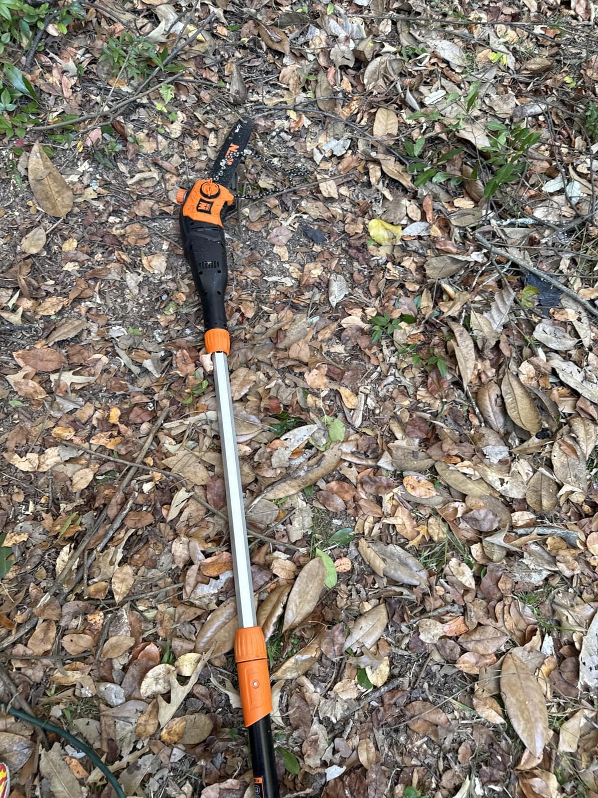 WEN Electric Pole Saw, Corded, 8-Amp, 10-Inch with 14-Foot Reach (CP0810) customer photo 2
