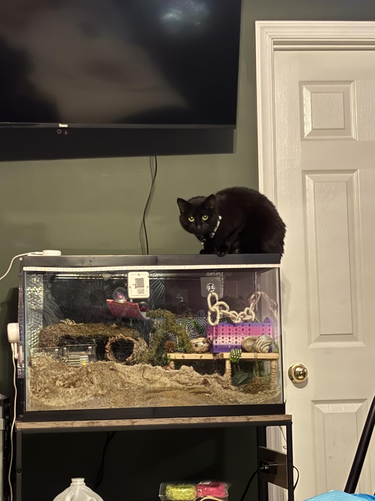 Heybly 20-29 Gal Fish Tank Stand with Drawer, Power Outlet,330lbs HAS001BK customer photo 1