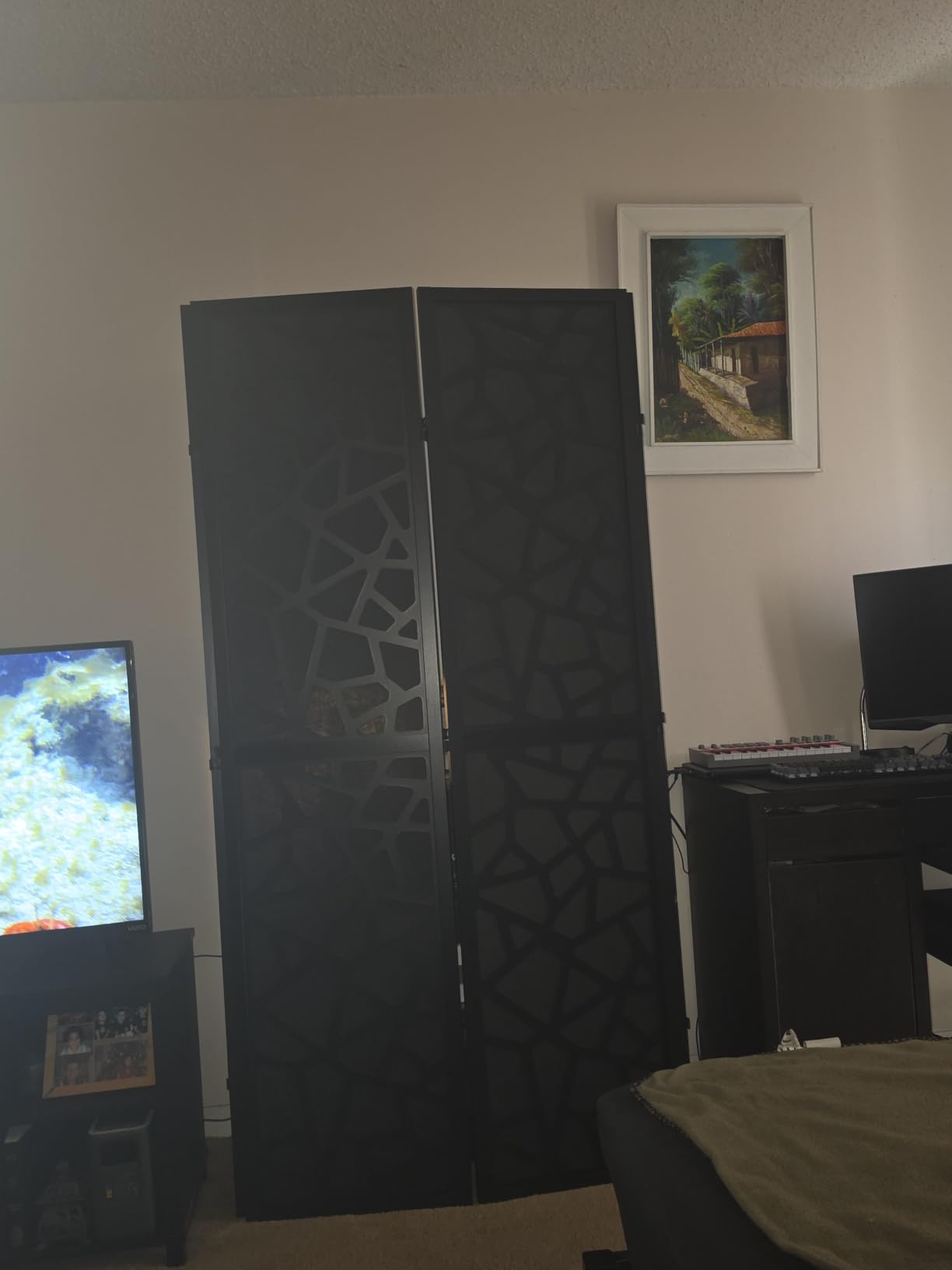 Roundhill Furniture Aurra 4-Panel Wood Room Divider, Folding Portable Partition Screen, Black Screen with Black Frame customer photo 1