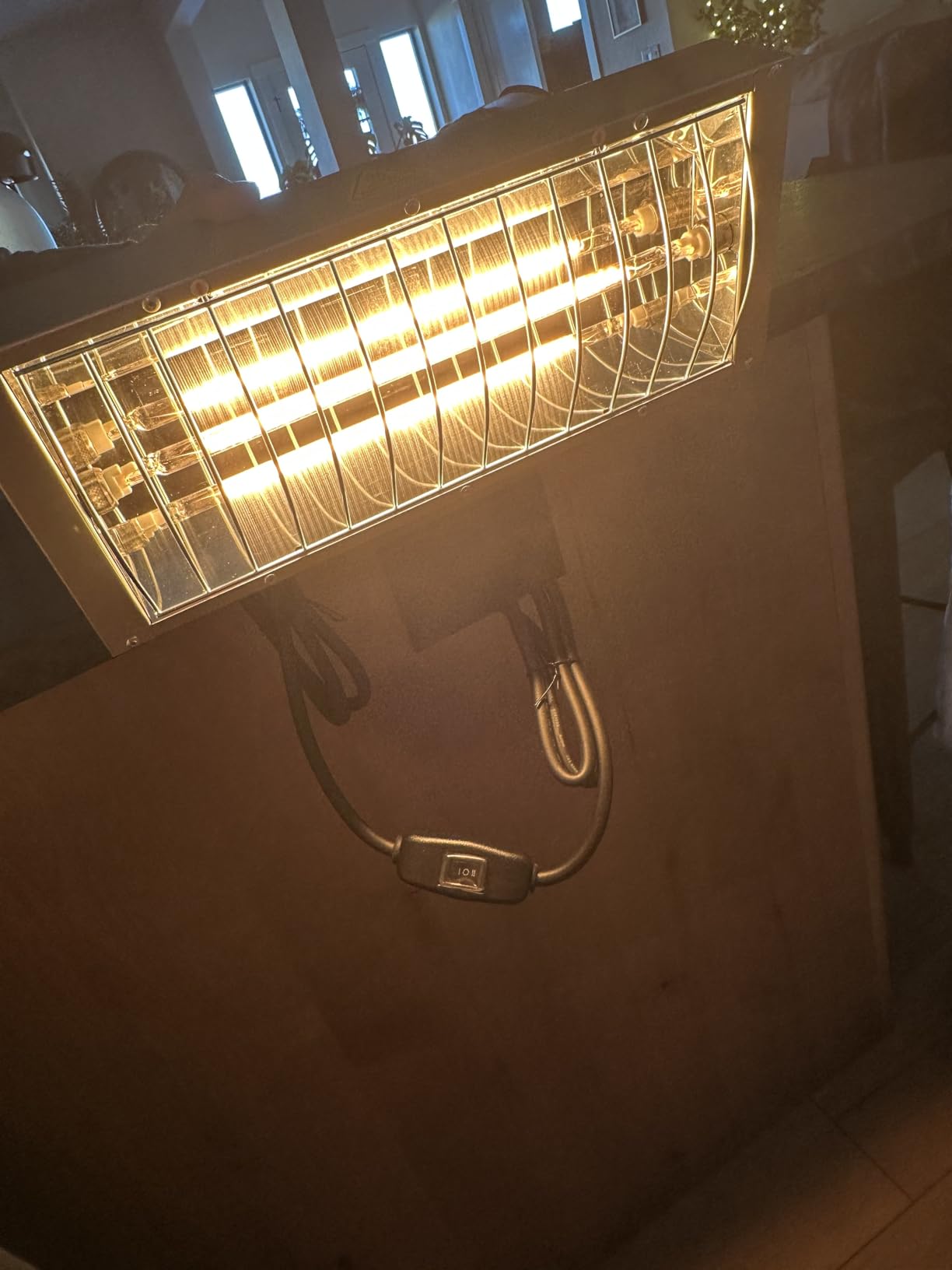 Chicken Coop Heater for Winter, Heat Lamp for Chickens 400W, Chicken Heater for Coop with 2 Heating Settings, for Poultry, Dogs, Pets, Birds, Animals customer photo 2