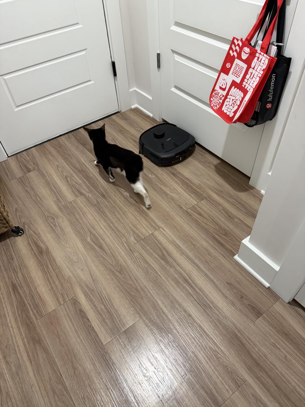 eufy E25 Robot Vacuum and Mop Combo, 20,000 Pa, HydroJet Roller Mop customer photo 1