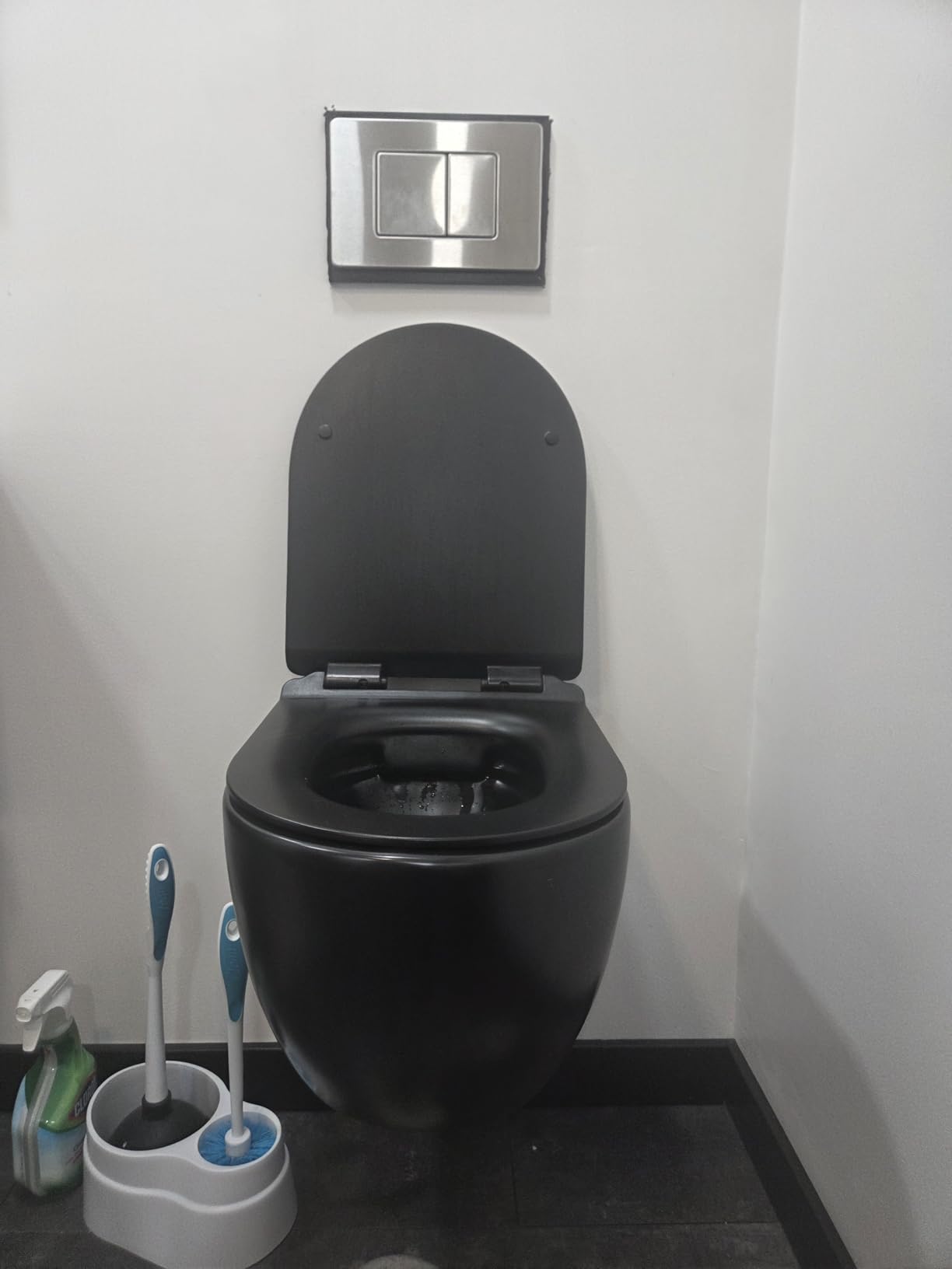 Eridanus Wall Hung Toilet with 2x6 in Wall Tank Carrier, Dual Flush, White customer photo 1