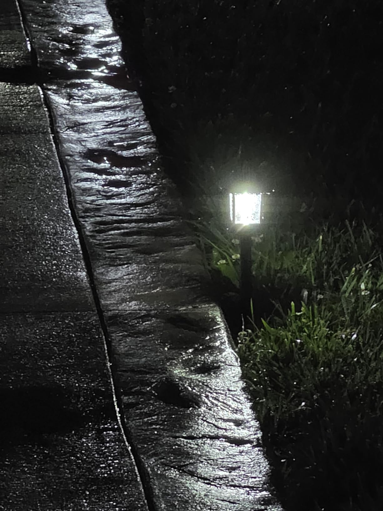 Greluna Solar Pathway Lights Outdoor,12 Pack Cool White 6000K Solar Lights, customer photo 1