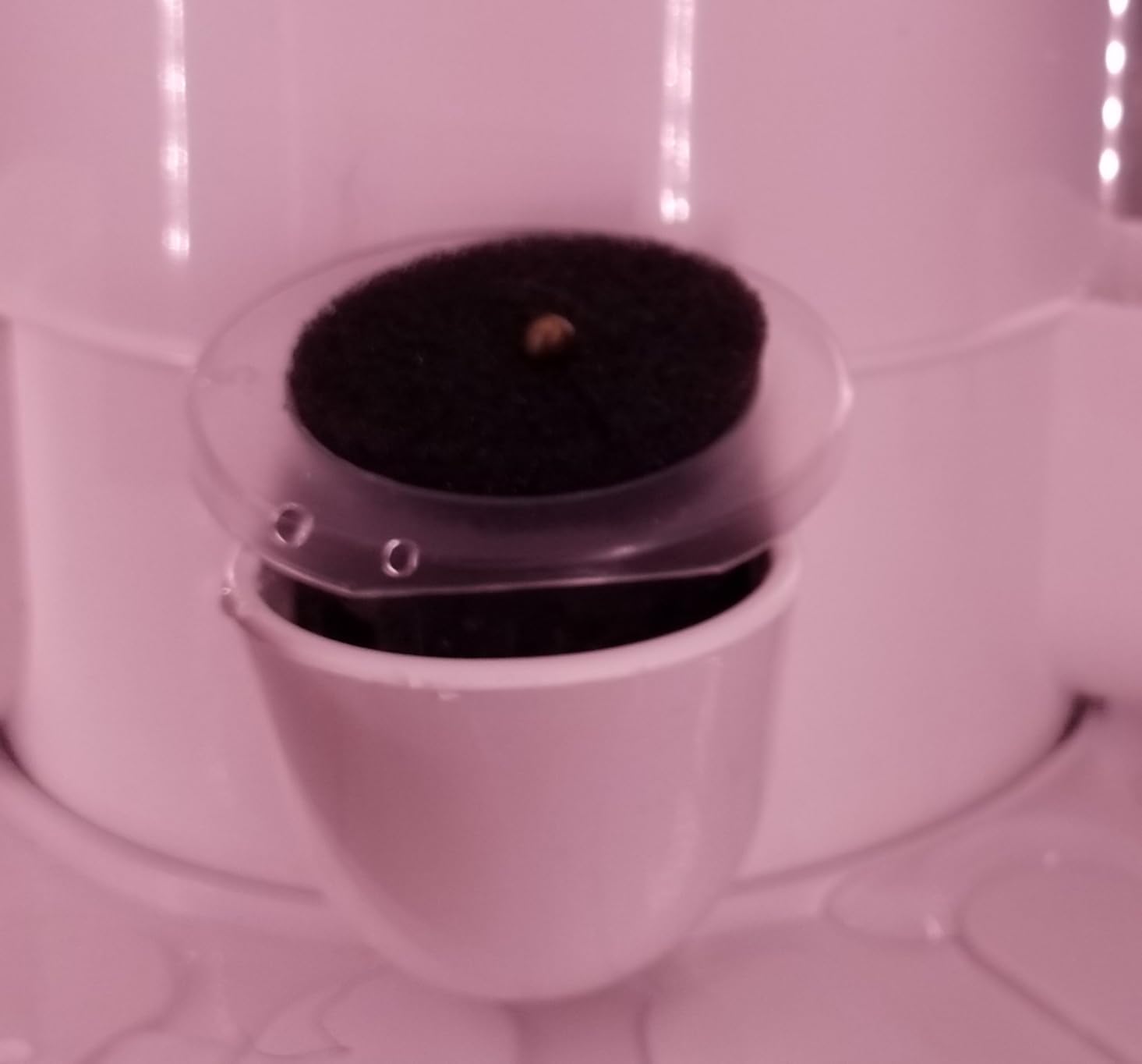 CARPATHEN Hydroponic Tower Growing System, Indoor Gardening for 30 Plants customer photo 2