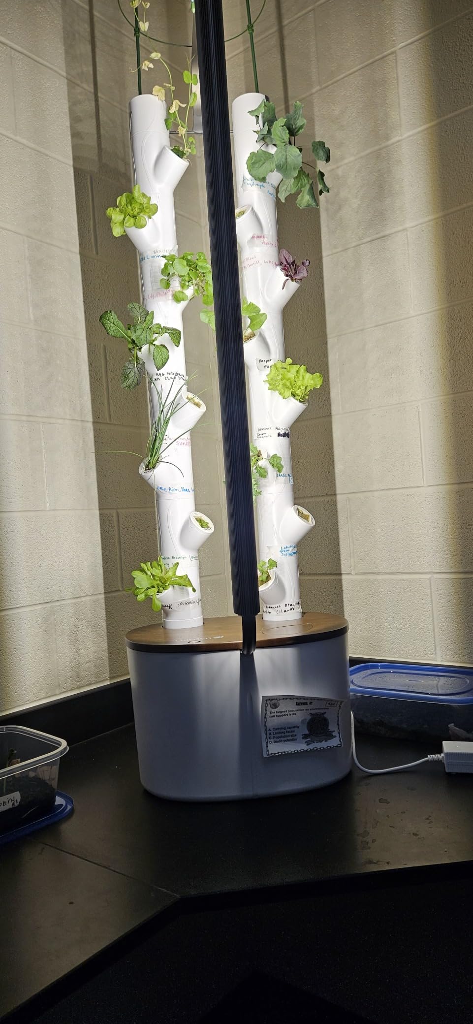Gardyn Studio 2 Hydroponics Growing System - 16 Plants, Smart Tower customer photo 1