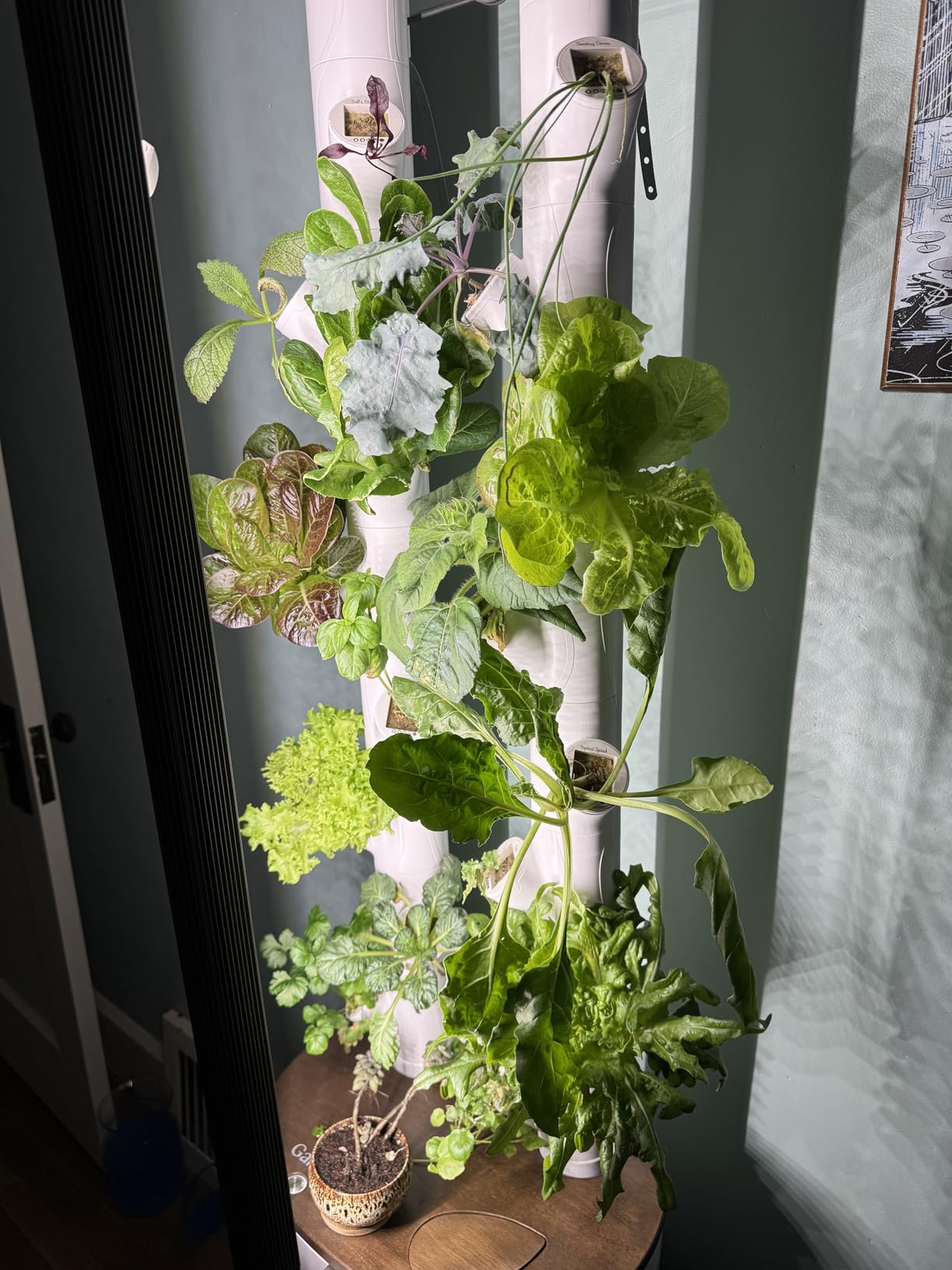 Gardyn Studio 2 Hydroponics Growing System - 16 Plants, Smart Tower customer photo 2
