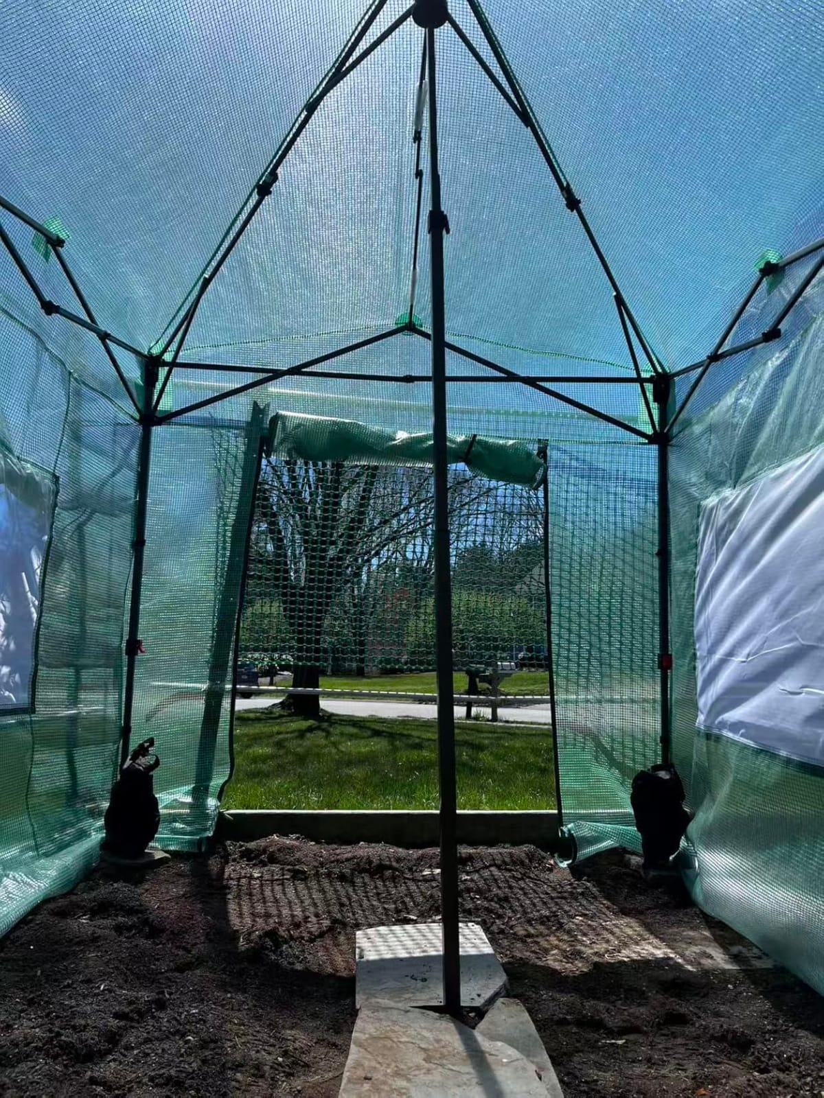 CROWN SHADES 12X8 Pop Up Outdoor Walk-in Portable Greenhouse,Green customer photo 2