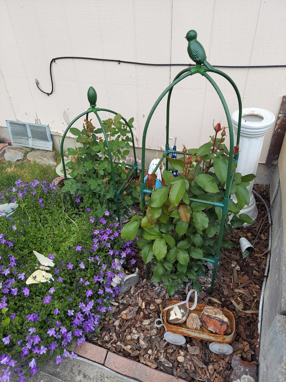 2 Pack Garden Obelisk Trellis, 70IN Tall Plant Support for Climbing Vine, Metal Covered Plastic Rustproof Heavy Duty Rose Trellis Indoor Outdoor (Green, 70 * 11.8 * 11.8IN(H*W*L)) customer photo 1