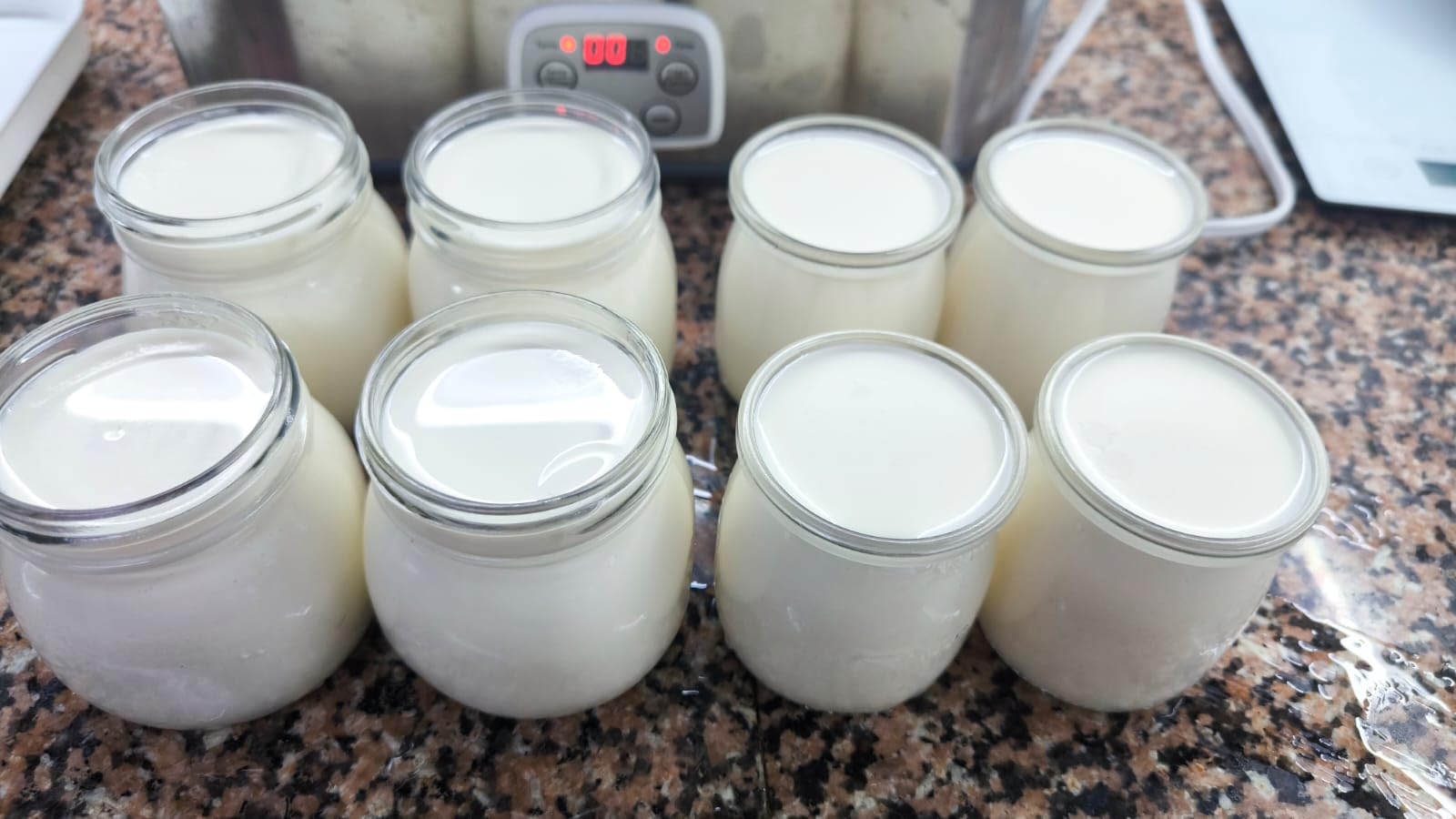 Suteck Yogurt Maker with 8 Jars, Adjustable Time & Temp Control, Black customer photo 2