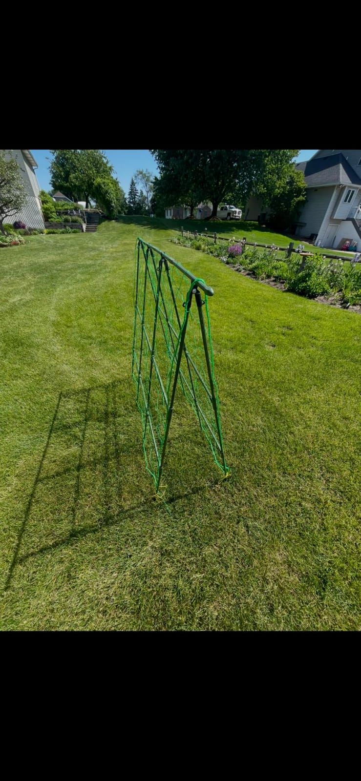 50x50 Cucumber Trellis for Raised Bed- A Frame Vegetable Garden Trellis customer photo 1