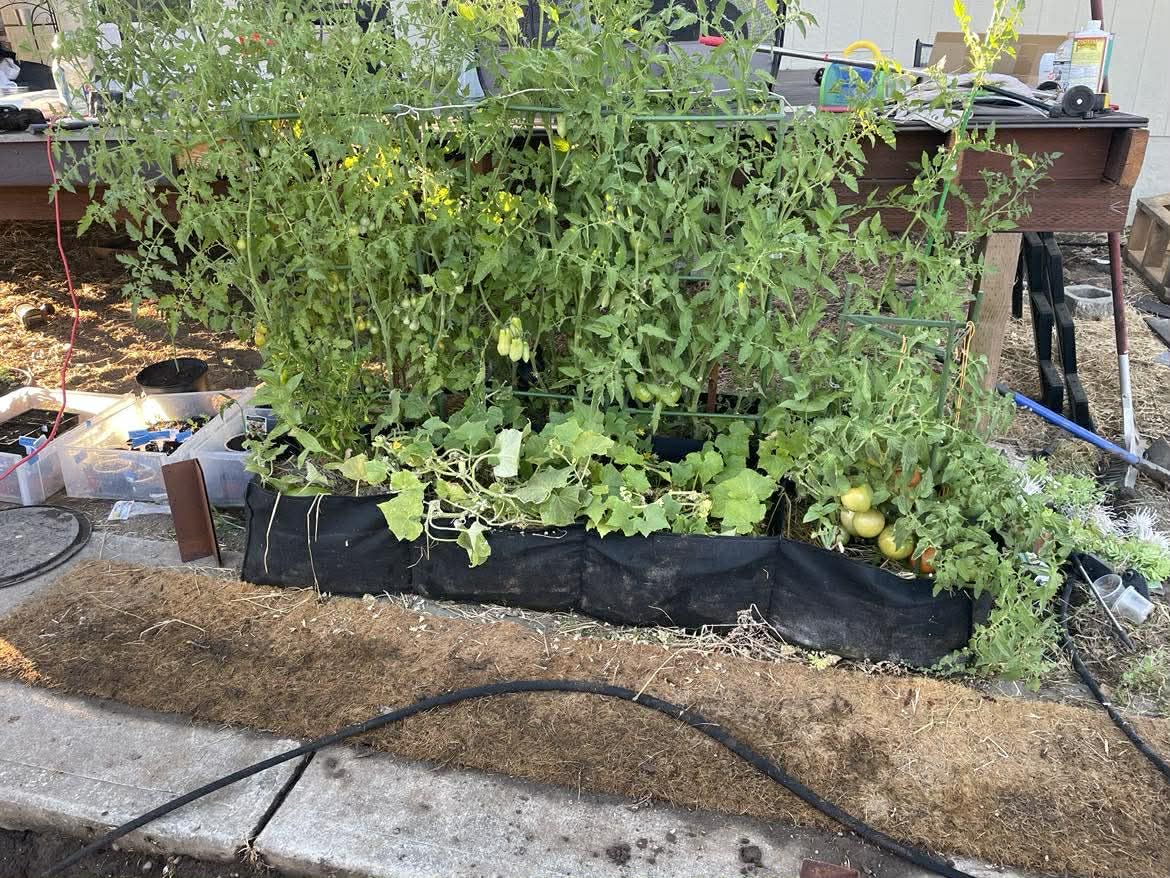 Fabric Raised Garden Bed, Grow Bags to Vegetable Herbs Flowers, 57 Gallon Fabric Plant Pots Indoor Outdoor, 4x2x1ft customer photo 2