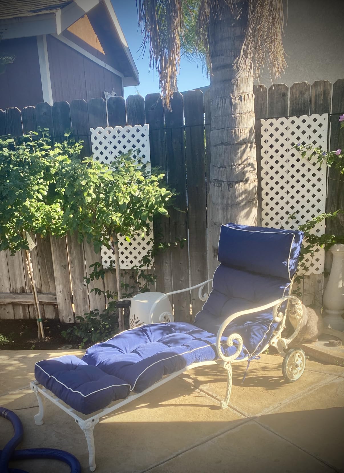 MAGIC ELEPHANT Chaise Lounge Cushion Outdoor, Memory Foam Replacement Patio Pool Lounge Chair Cushion with Ties for Outdoor Furniture, 74 x 22 x 4 Inch (Oxford Blue) customer photo 1