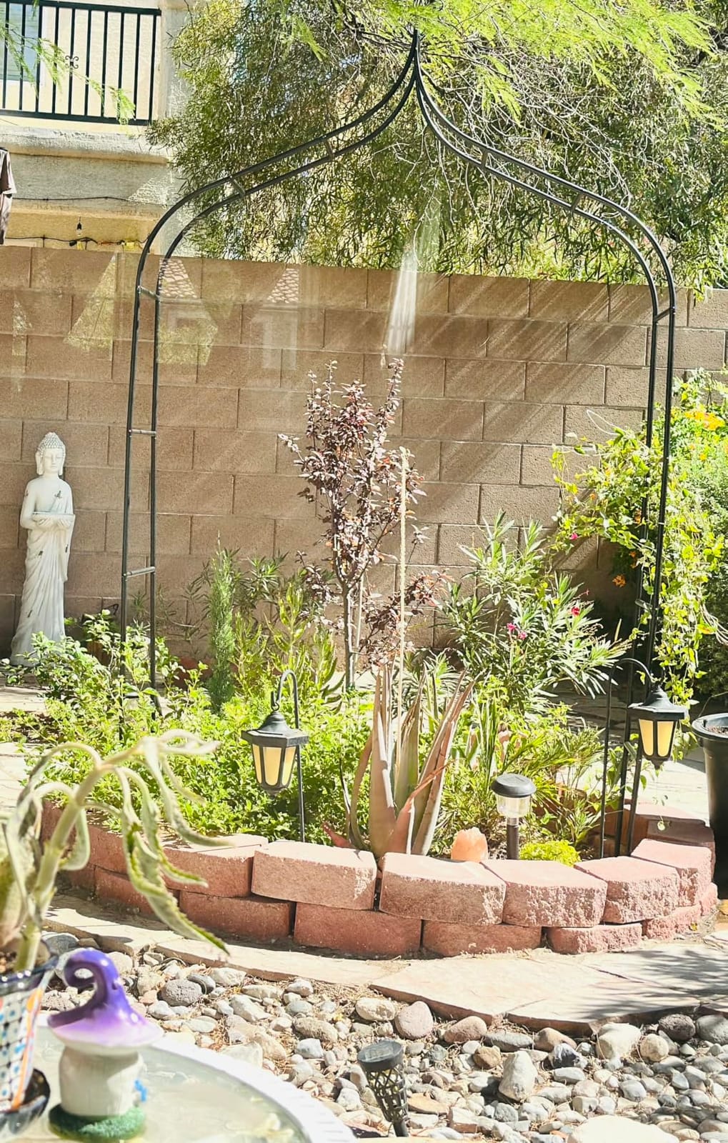 Thick Gothic Pointed Metal Garden Arch Rust-Proof for Climbing Vines Roses customer photo 1