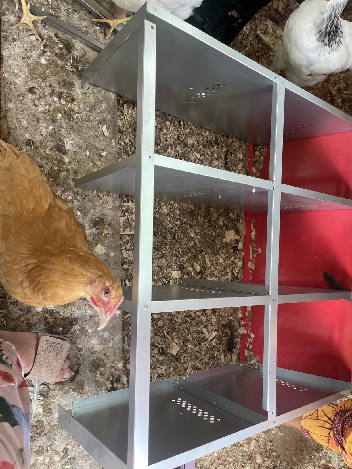 ZenxyHoC Two-Tier Chicken Nesting Box Red 6 Compartments customer photo 2
