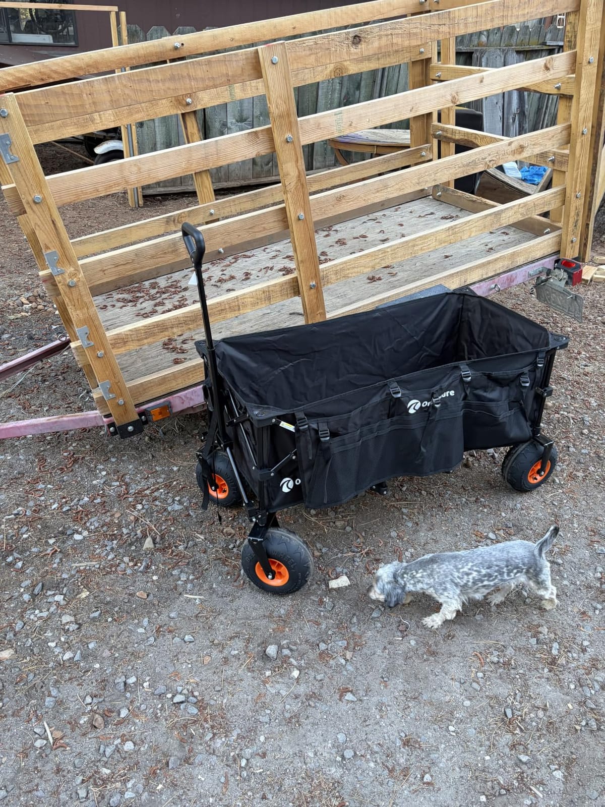 Originsure 300L Collapsible Beach Wagon with Balloon Wheels, 560lbs, Black customer photo 1