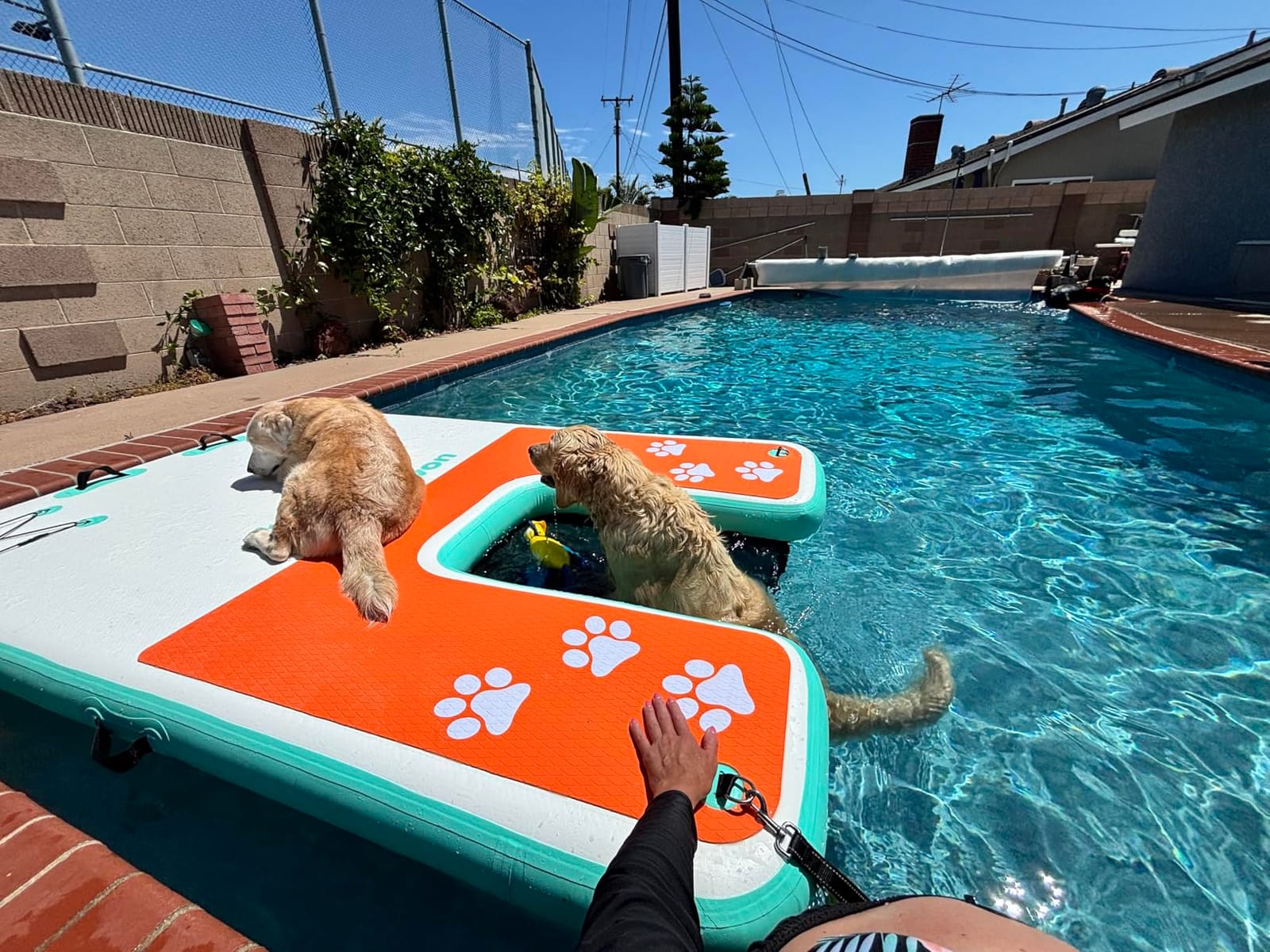 8x6ft Extra Large Inflatable Dog Dock & Boat Ramp for Multiple Large Dogs customer photo 1